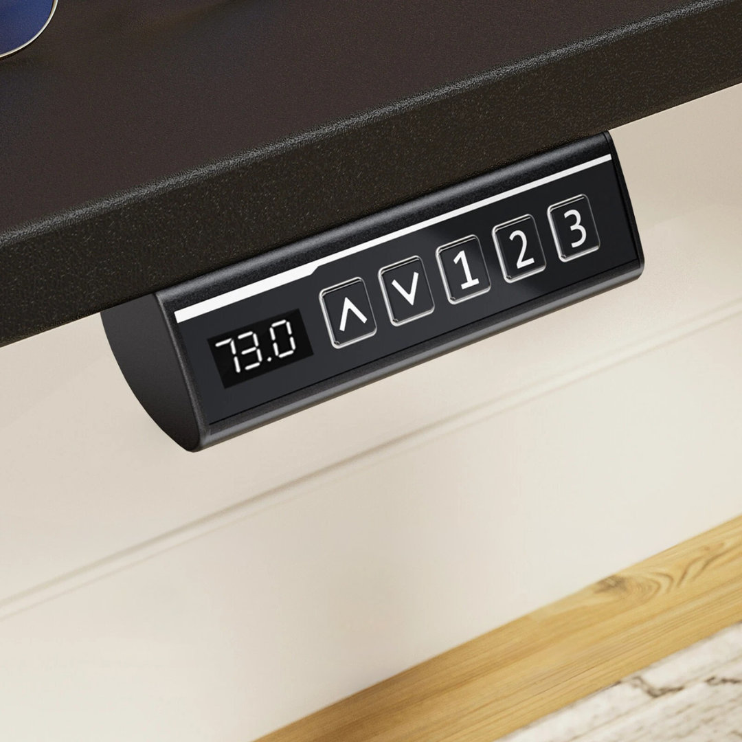 Electric Adjustable Standing Desk