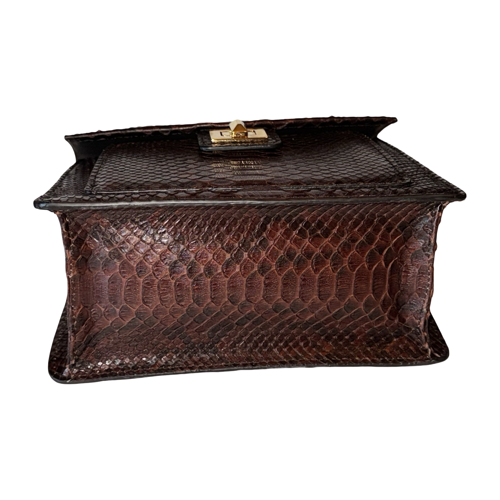 Sienna Horse Handle Handbag
Authentic Multi-Toned Brown Python