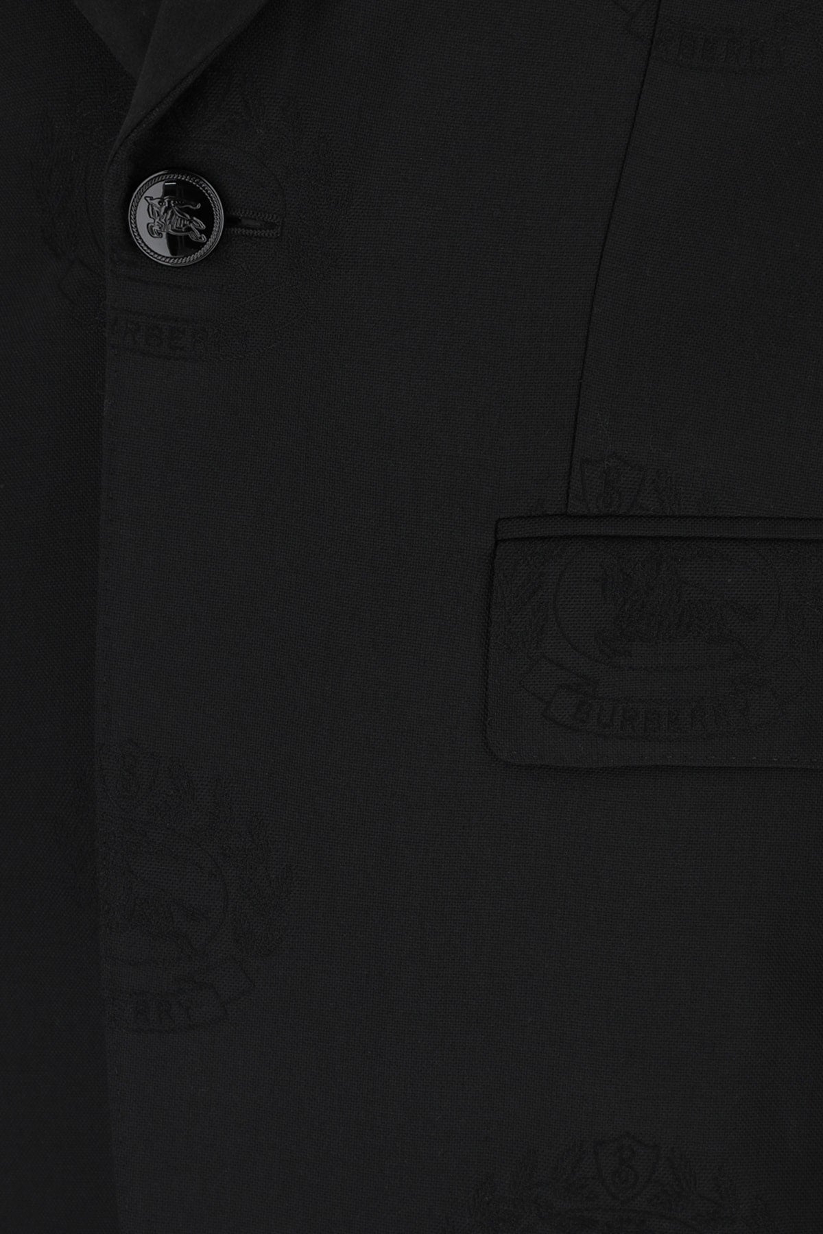 Burberry Men Giacca