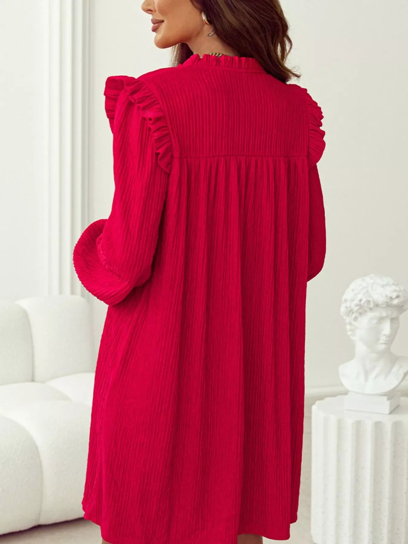 Textured Ruffled Trim Loose Fit Mini Dress