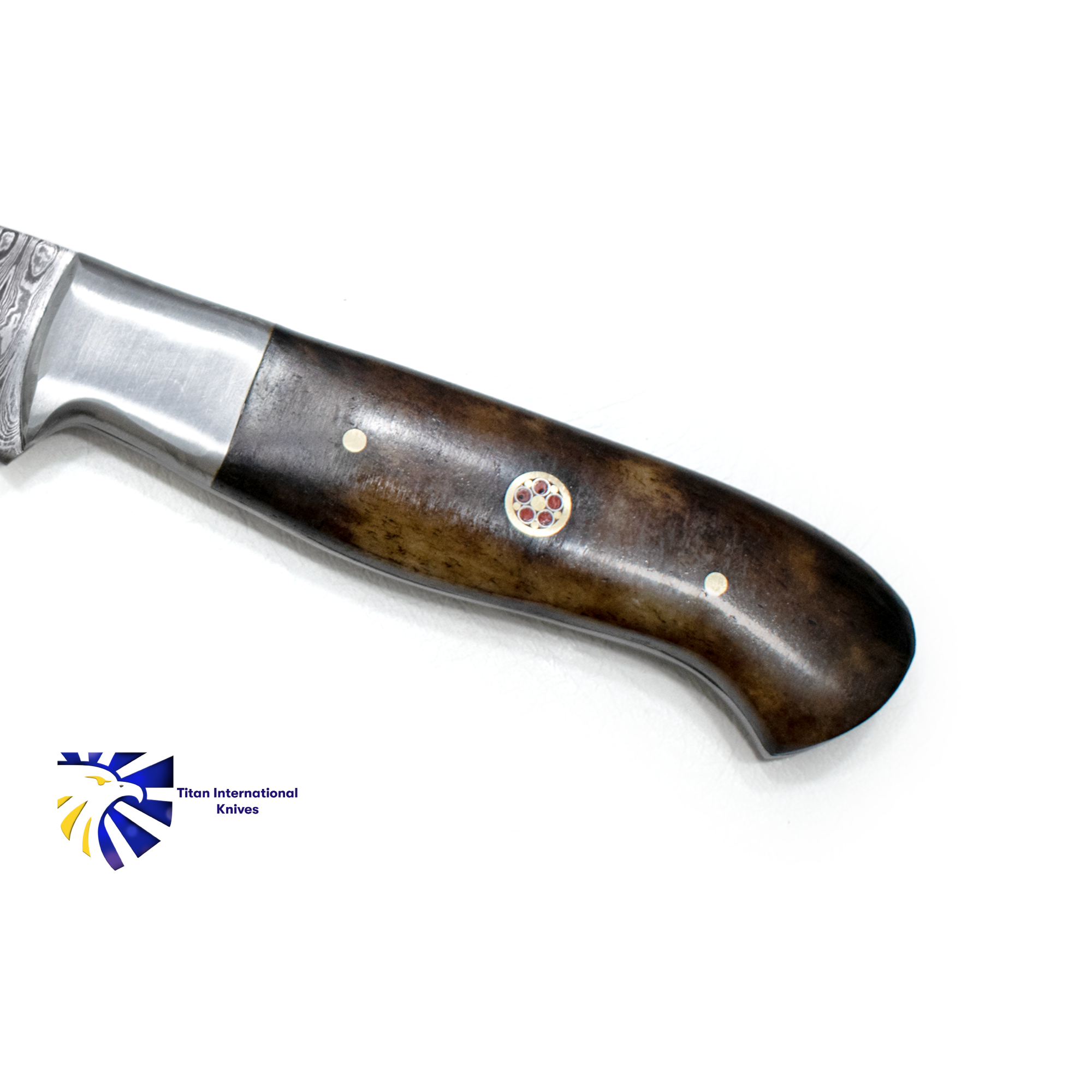 Damascus Steel Steak Knife Dyed Bone Grip TK-020