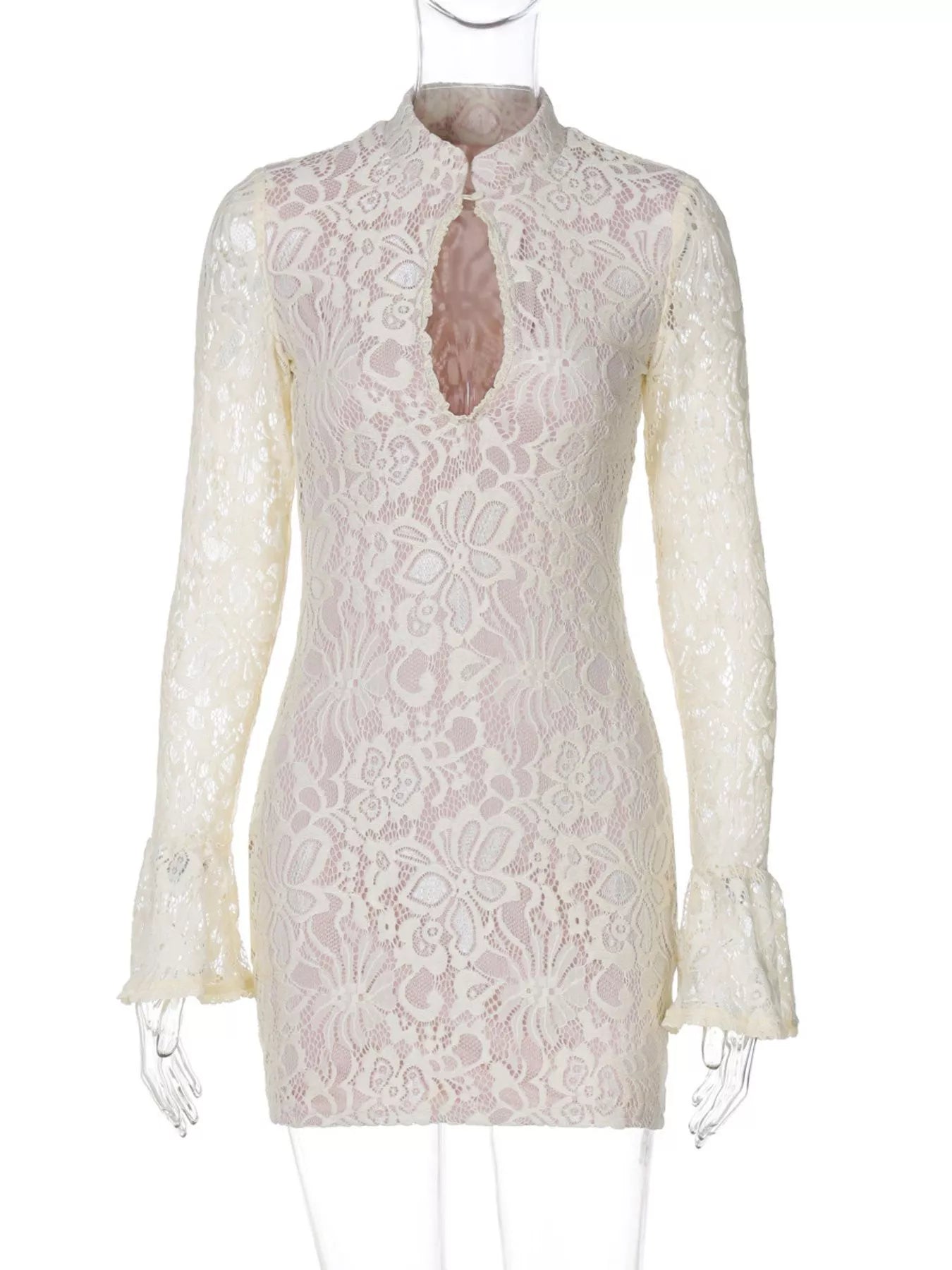 Lace Cutout Long Sleeve Mini Dress