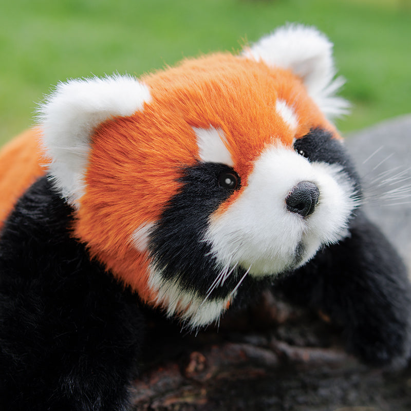 Red Panda Weighted Plush – Snuggle Toy for Relaxation