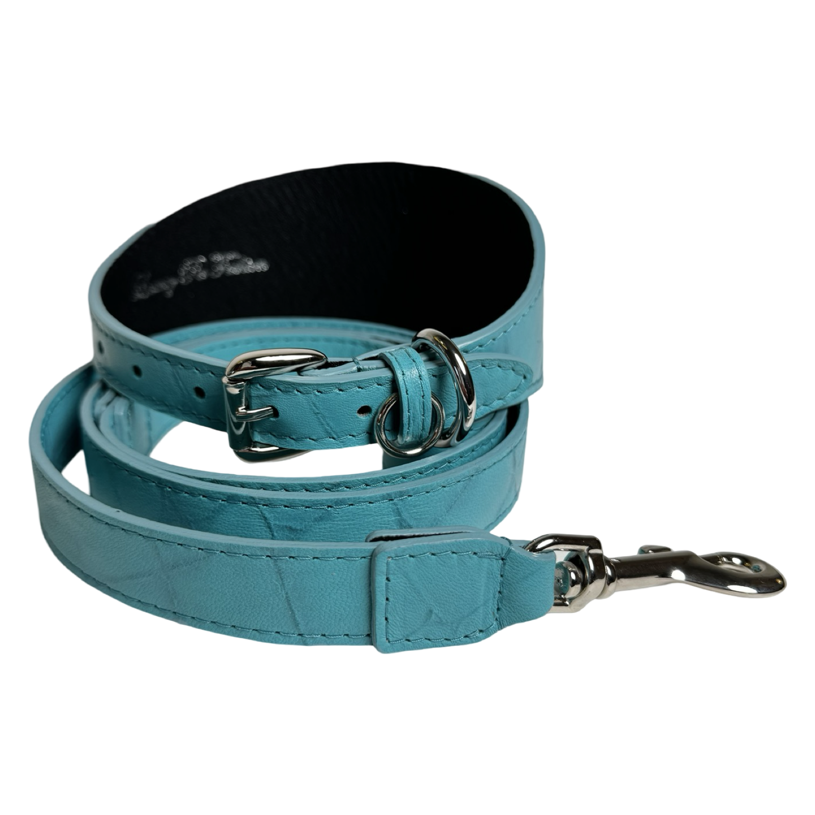 The Tiffany Collection. Gorgeous Turquoise Blue Embossed Croc Italian Leather 3” Wide Style Collar, With Silver Hardware