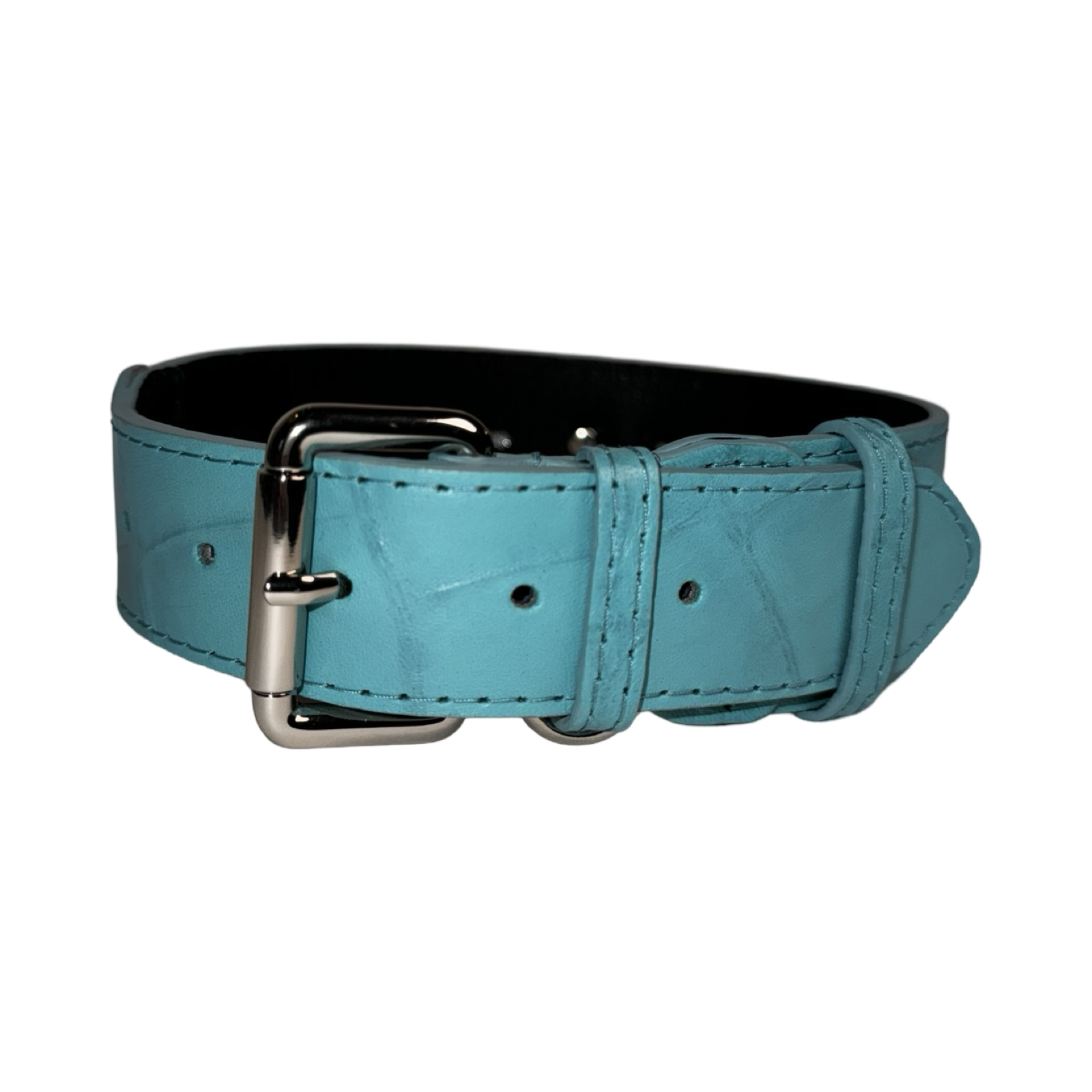 The Tiffany Collection. Gorgeous Turquoise Blue Embossed Croc Italian Leather Collar, With Our Classic Silver Hardware