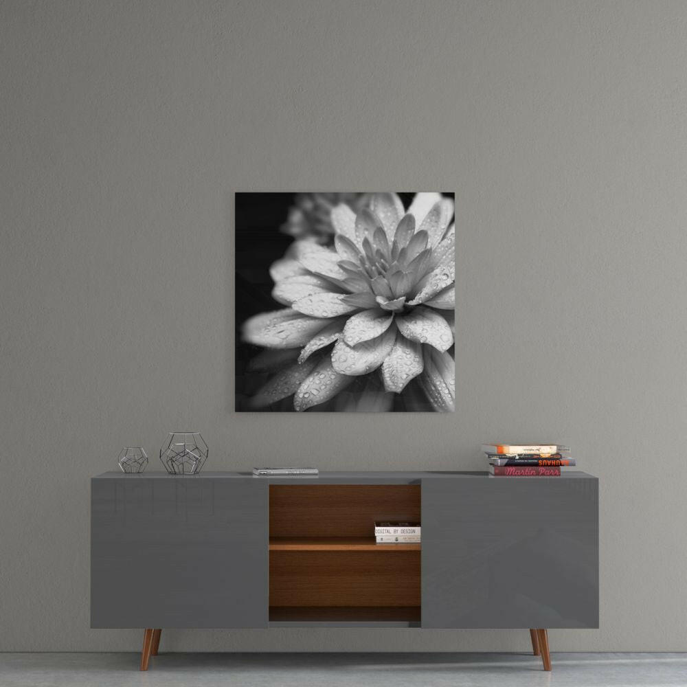 Dewy Monochrome Dahlia Glass Wall Art