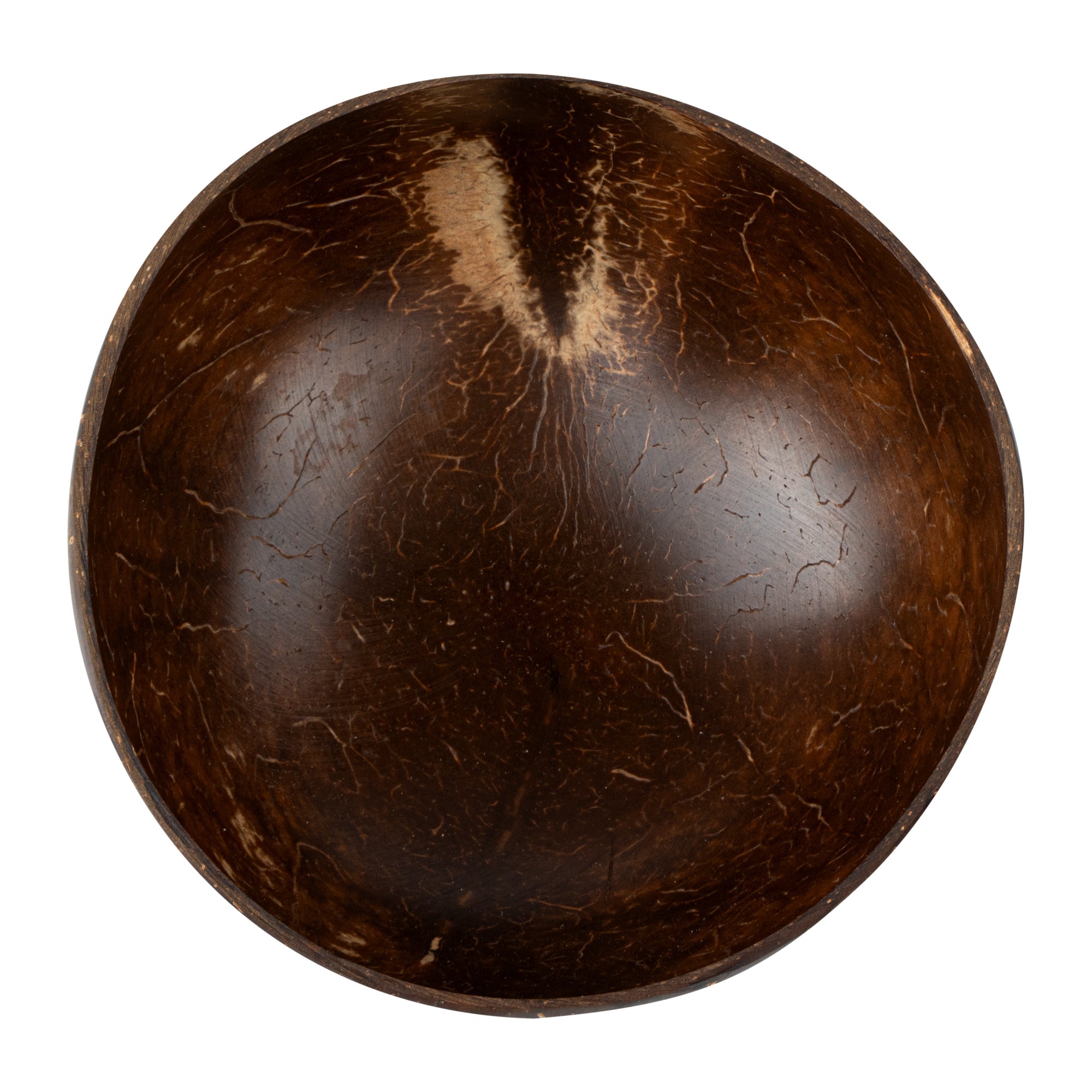 Coco Casa 16 oz Handmade Coconut Bowl - Polished - 10 count box