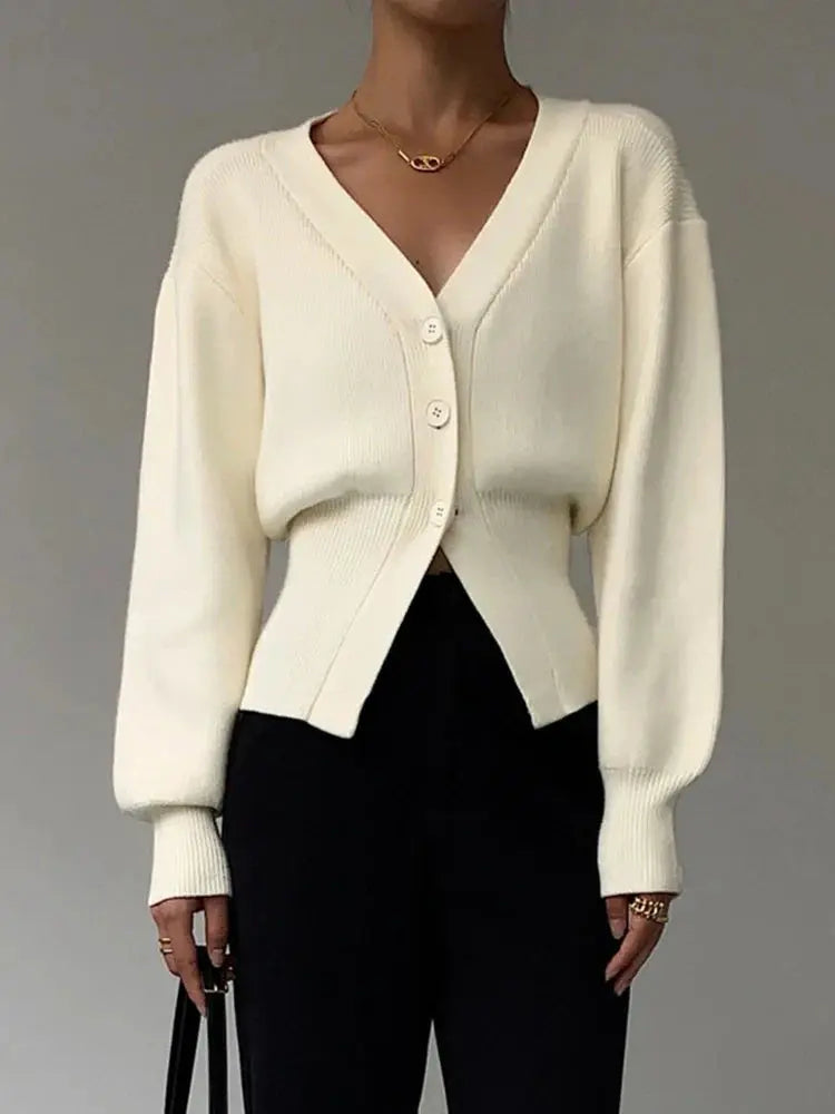Women's V-Neck Long Sleeve Sweater
