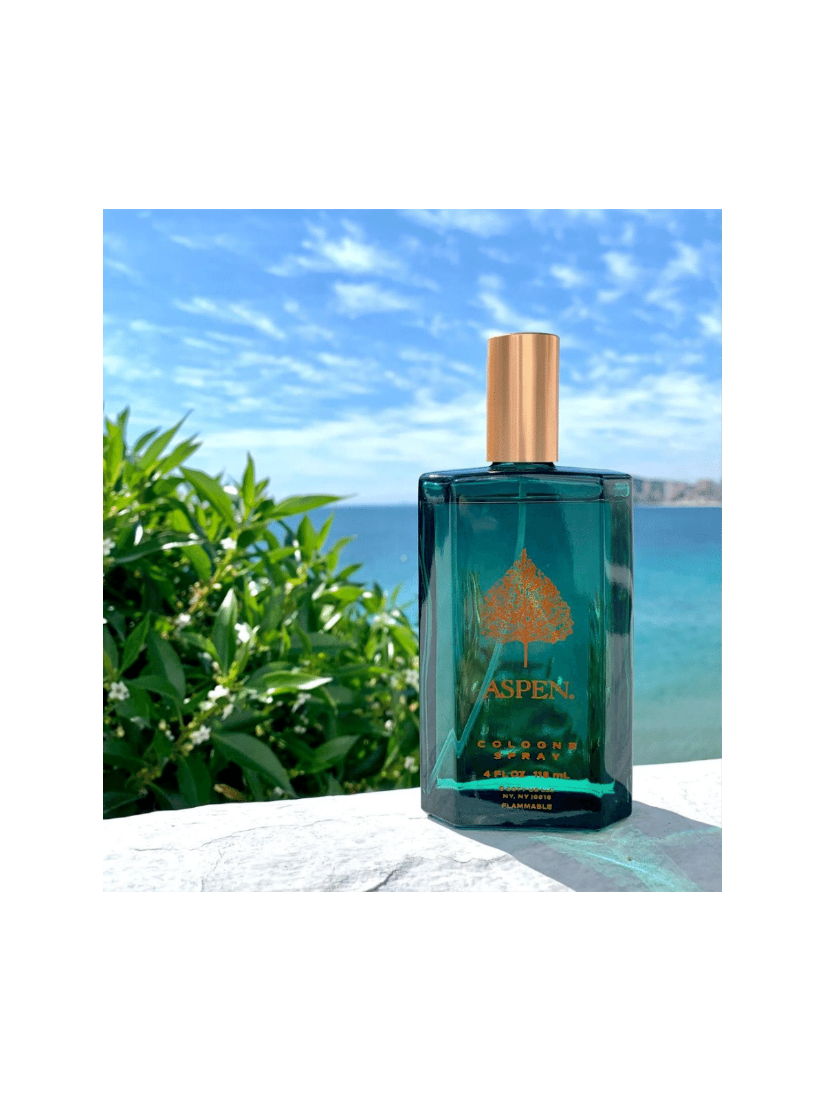 Aspen by Coty Eau de Cologne