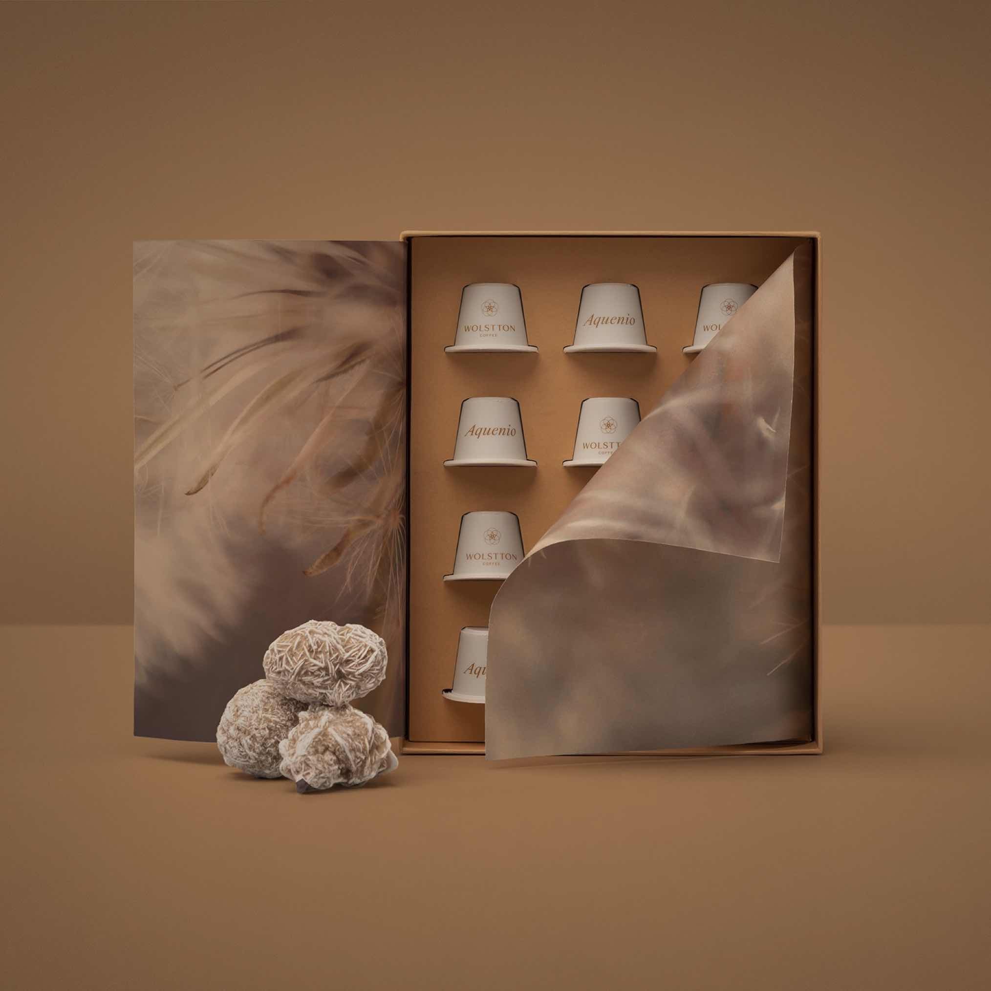 Wolstton Pods: Aquenio (12)