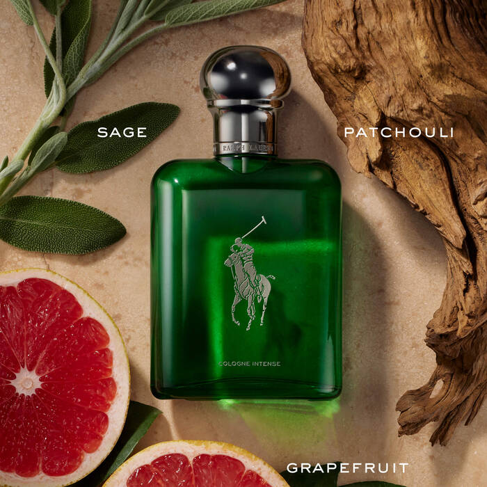 Polo Cologne Intense by Ralph Lauren for Men EDC 8.0 oz