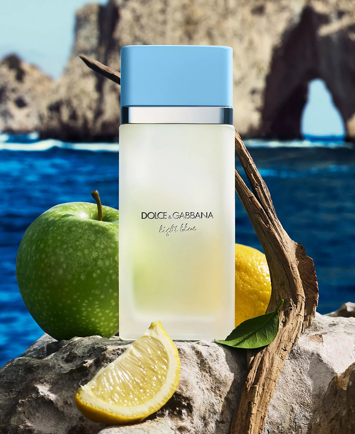 Dolce & Gabbana Light Blue Eau de Toilette Spray for Women 6.7 oz