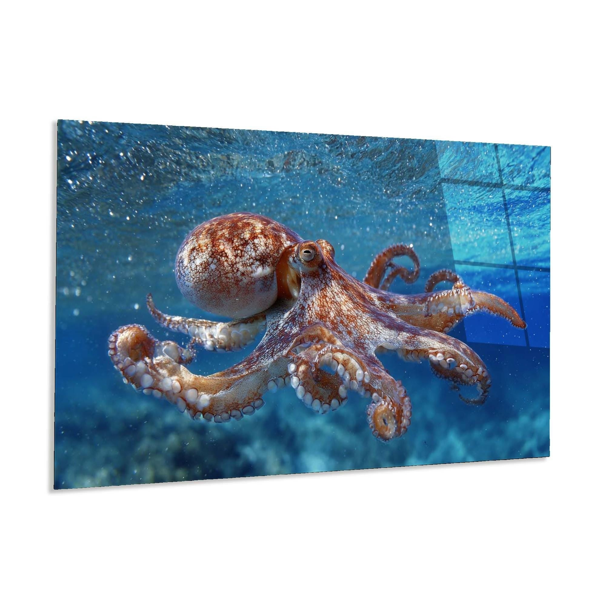 Octopus Tempered Glass Wall Art | Marine Life Coastal Decor