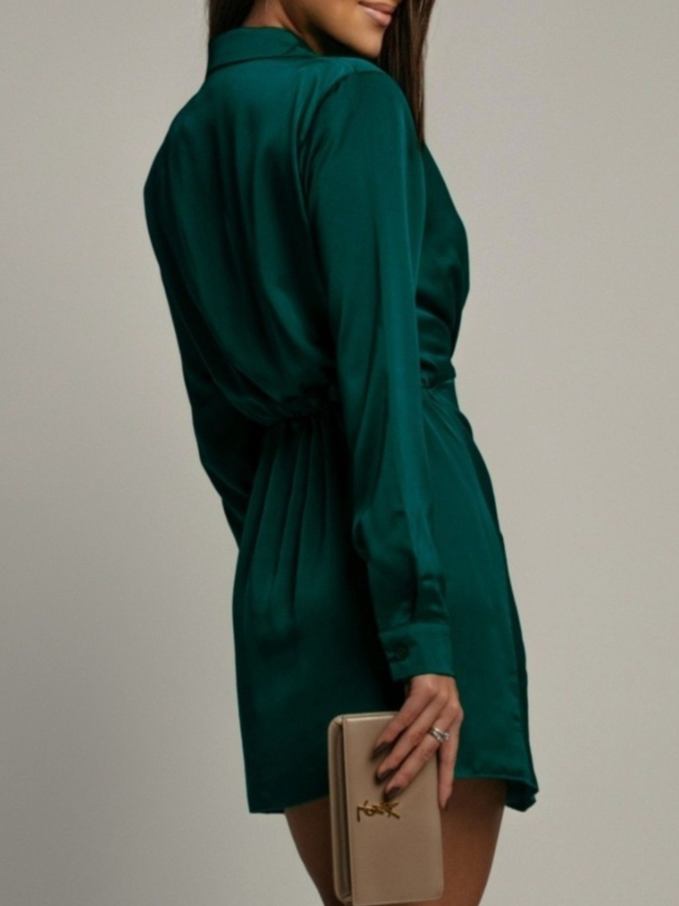 Collared Neck Long Sleeve Satin Dress