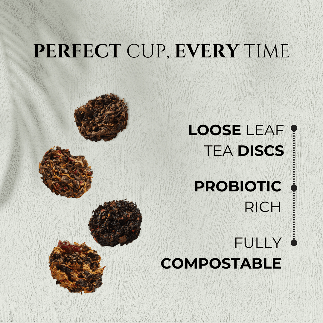 Deluxe Tea Disc Essential Set – 4-Pack Loose Leaf Gift Box - Overture Gifts