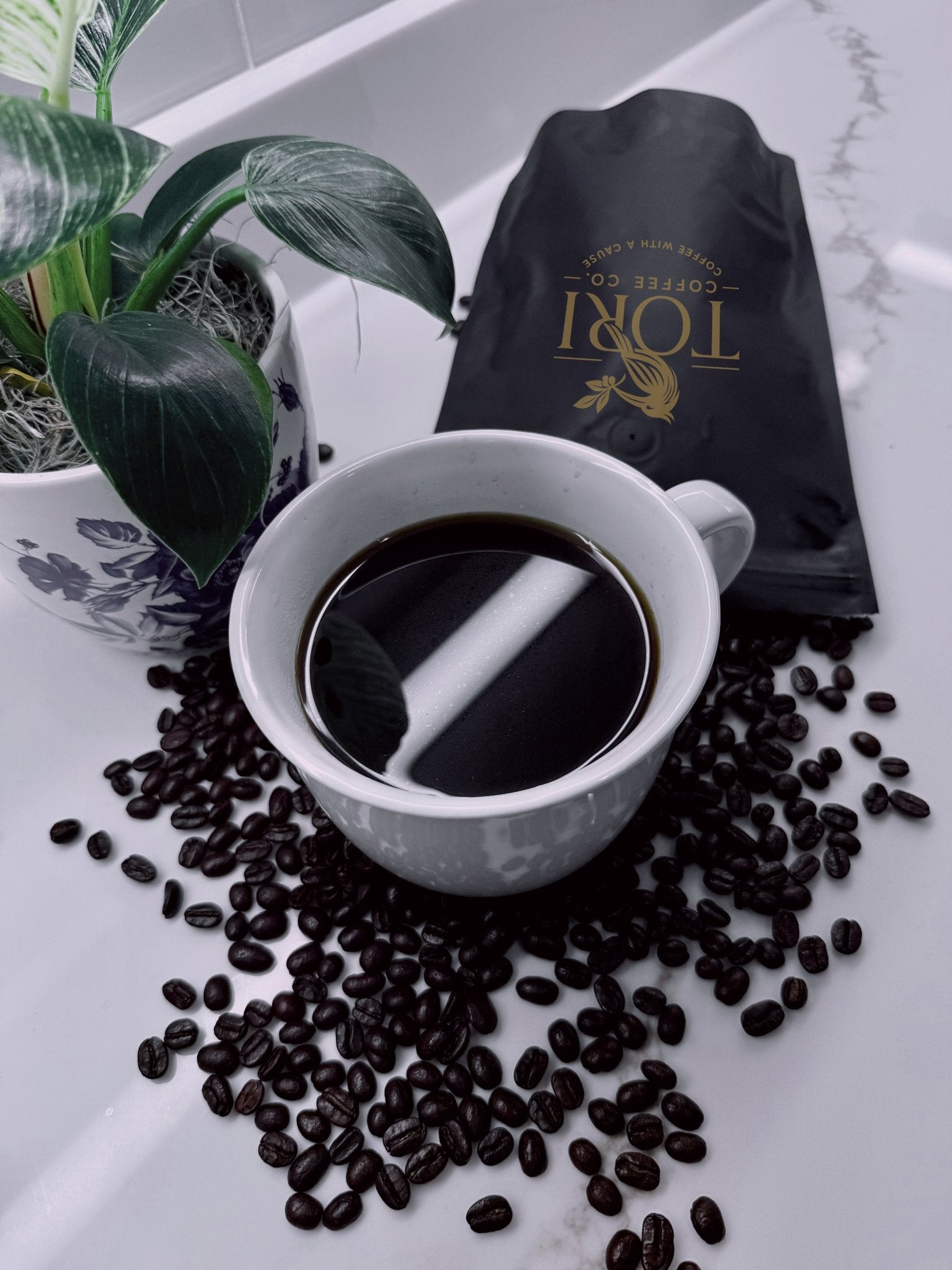 Guatemala | Dark Roast | 12oz - Overture Gifts