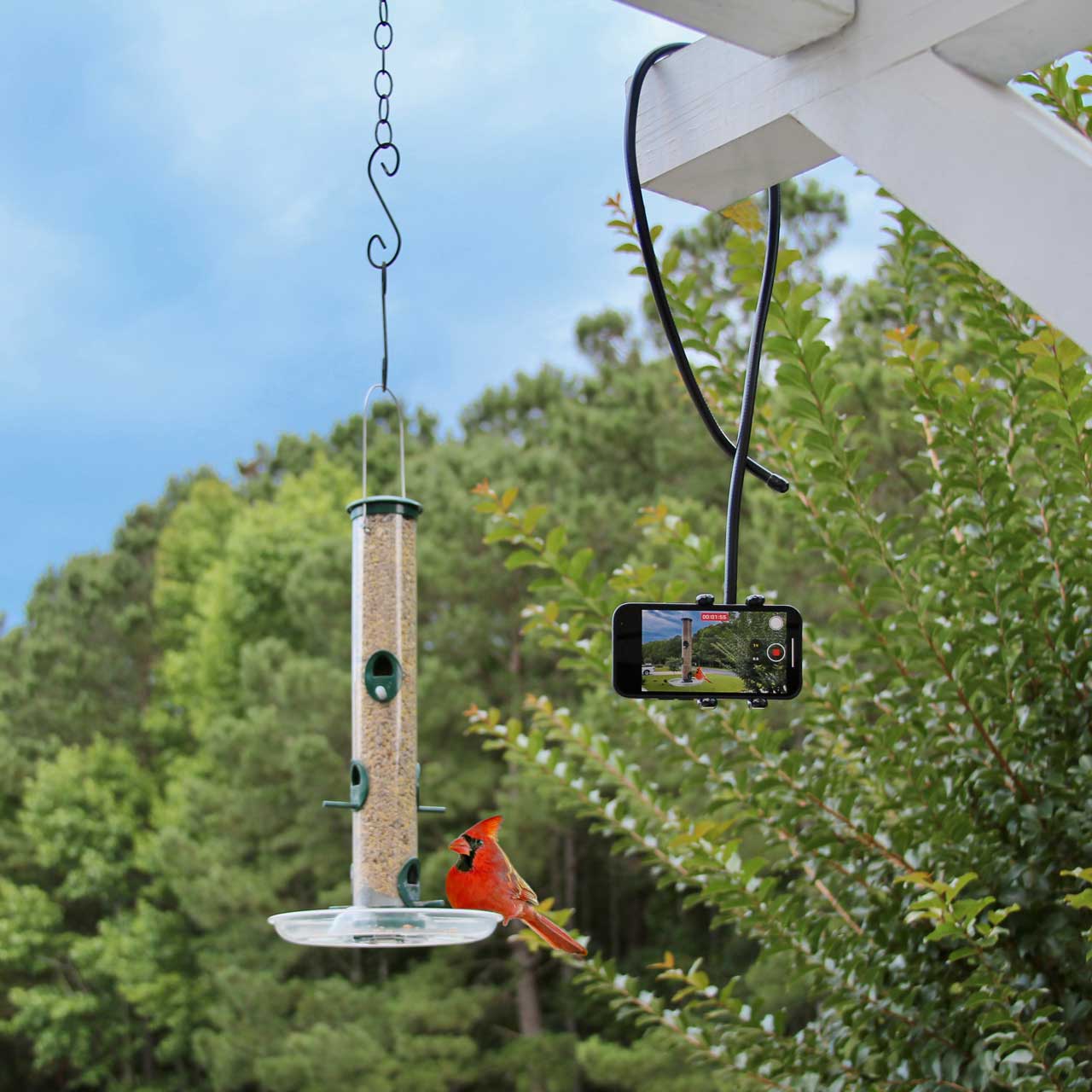 PED5-COIL iPhone Flexible Holder Stand