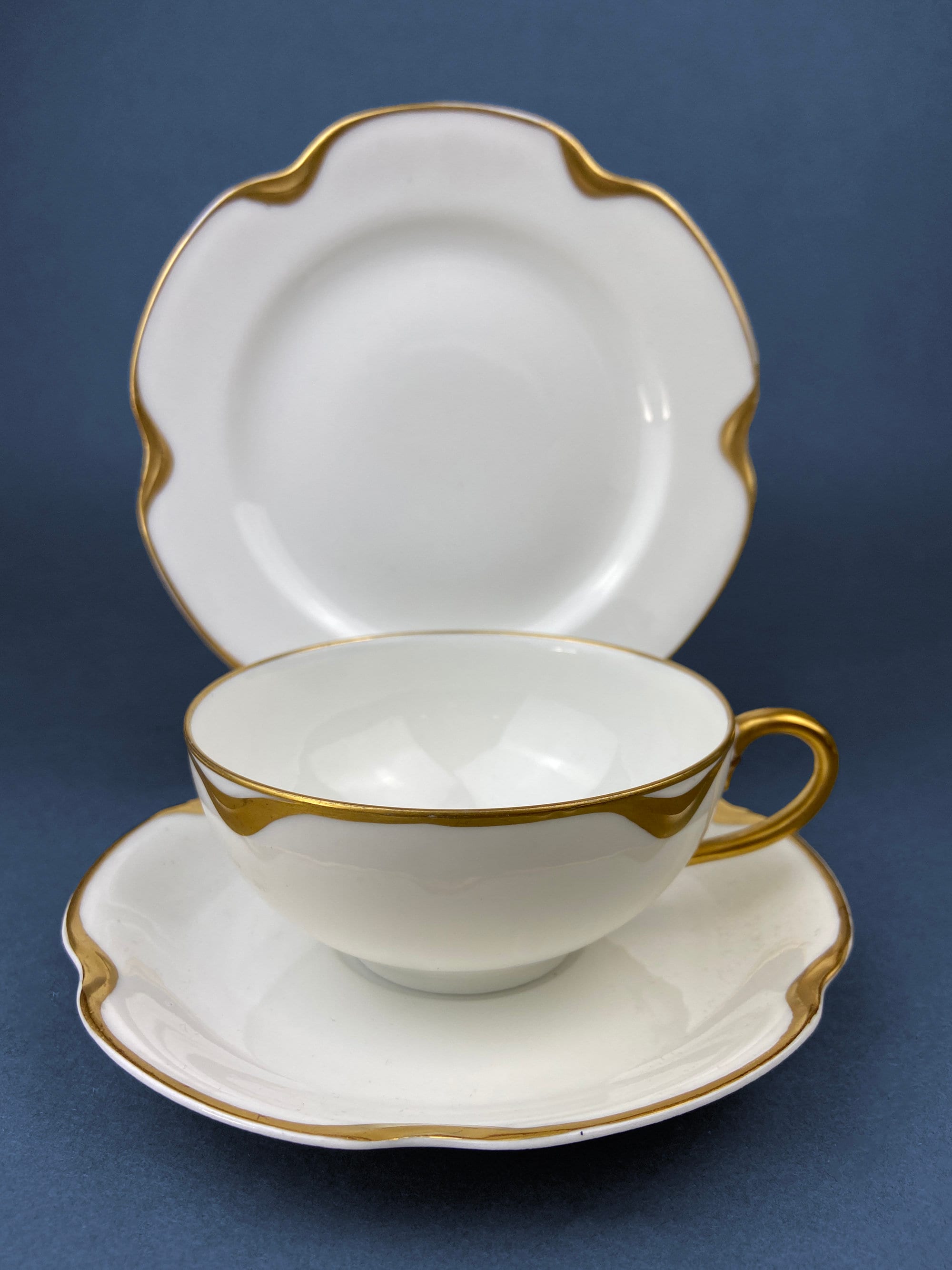 Antique Limoges Porcelain Serving Set. Tea or Coffee Cup with Saucer, Dinner, and Salad Plates. Finest Porcelain by Haviland, France.