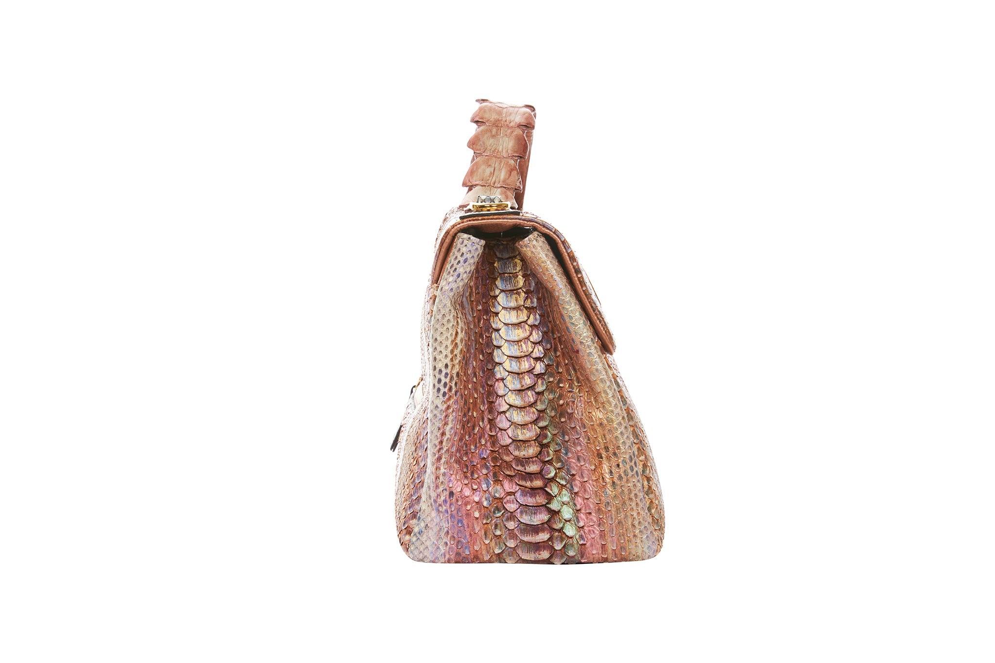 Iridescent Python Elegant & Unique Business/Travel Bag