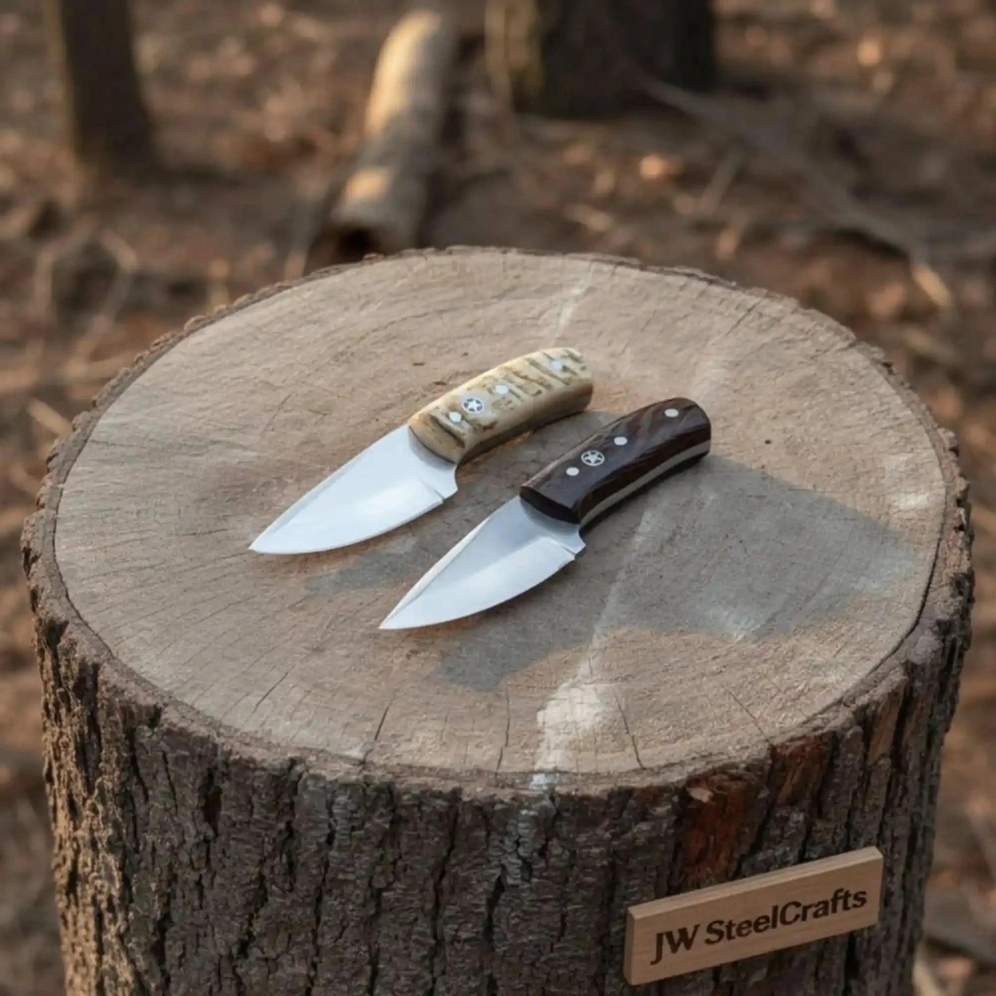 Compact Outdoor Knife Stainless Steel Blade Ram Horn or Wengi Wood Handle