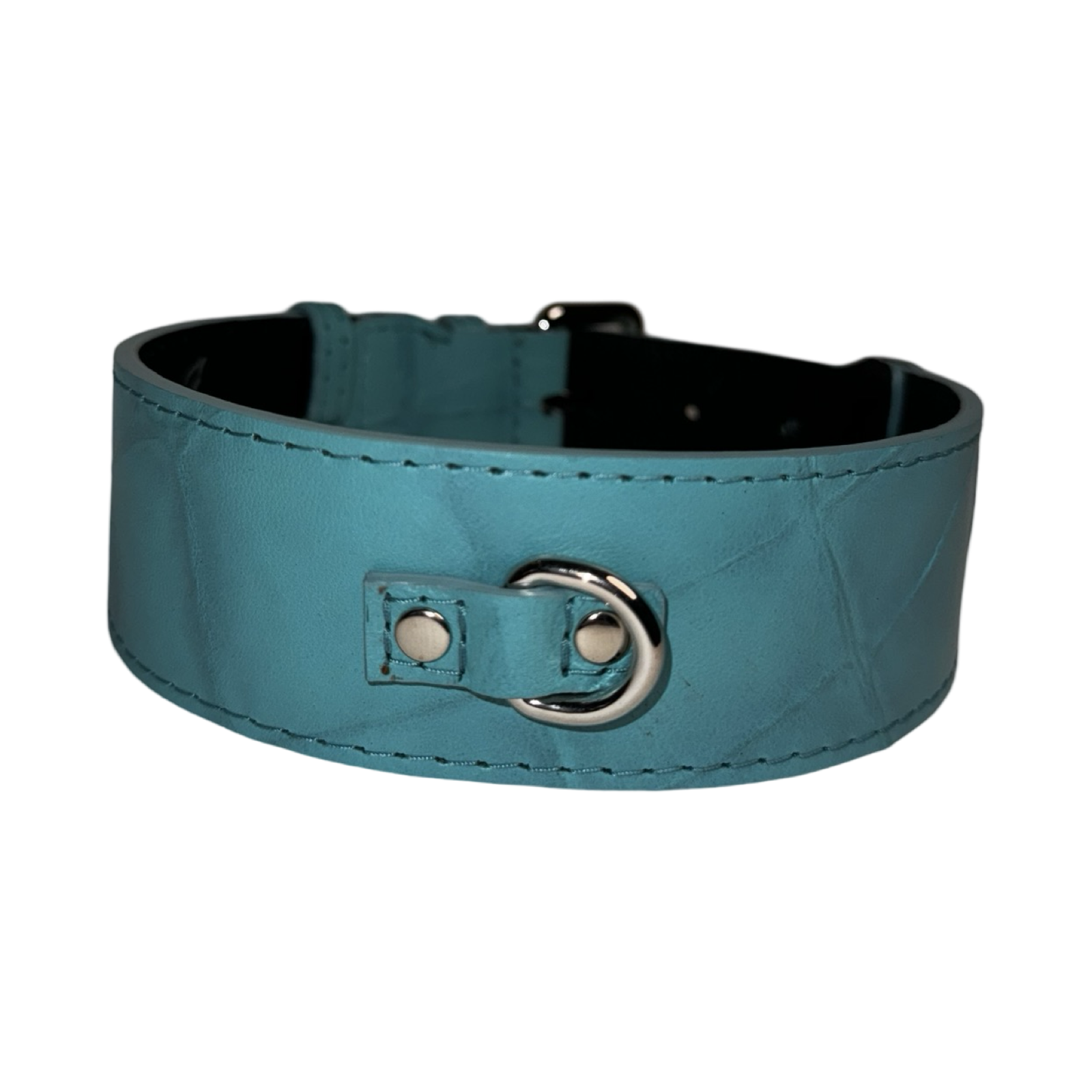 The Tiffany Collection. Gorgeous Turquoise Blue Embossed Croc Italian Leather Collar, With Our Classic Silver Hardware