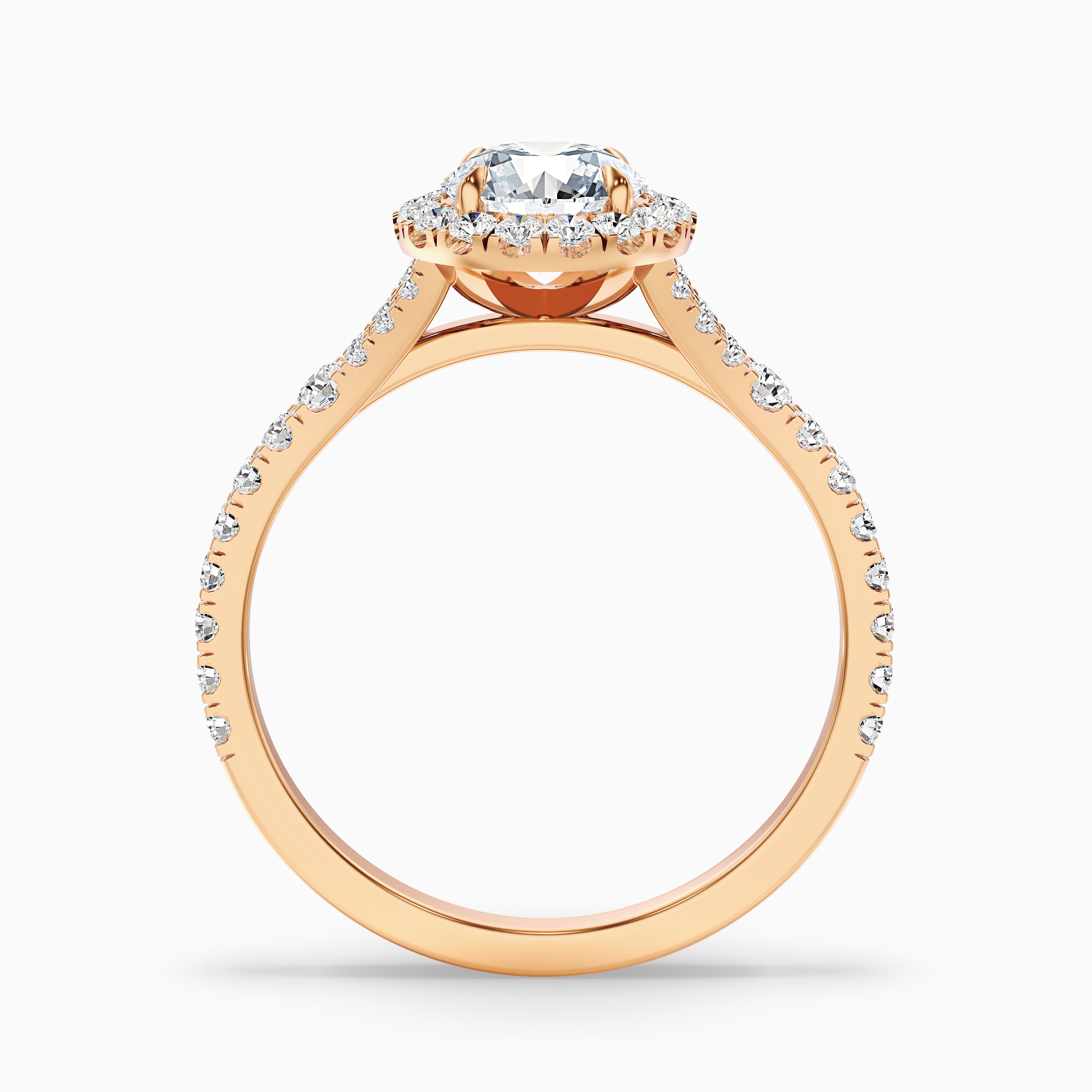 Erin 4 Carat Round Halo Pave Moissanite Engagement Ring in 10k White Gold