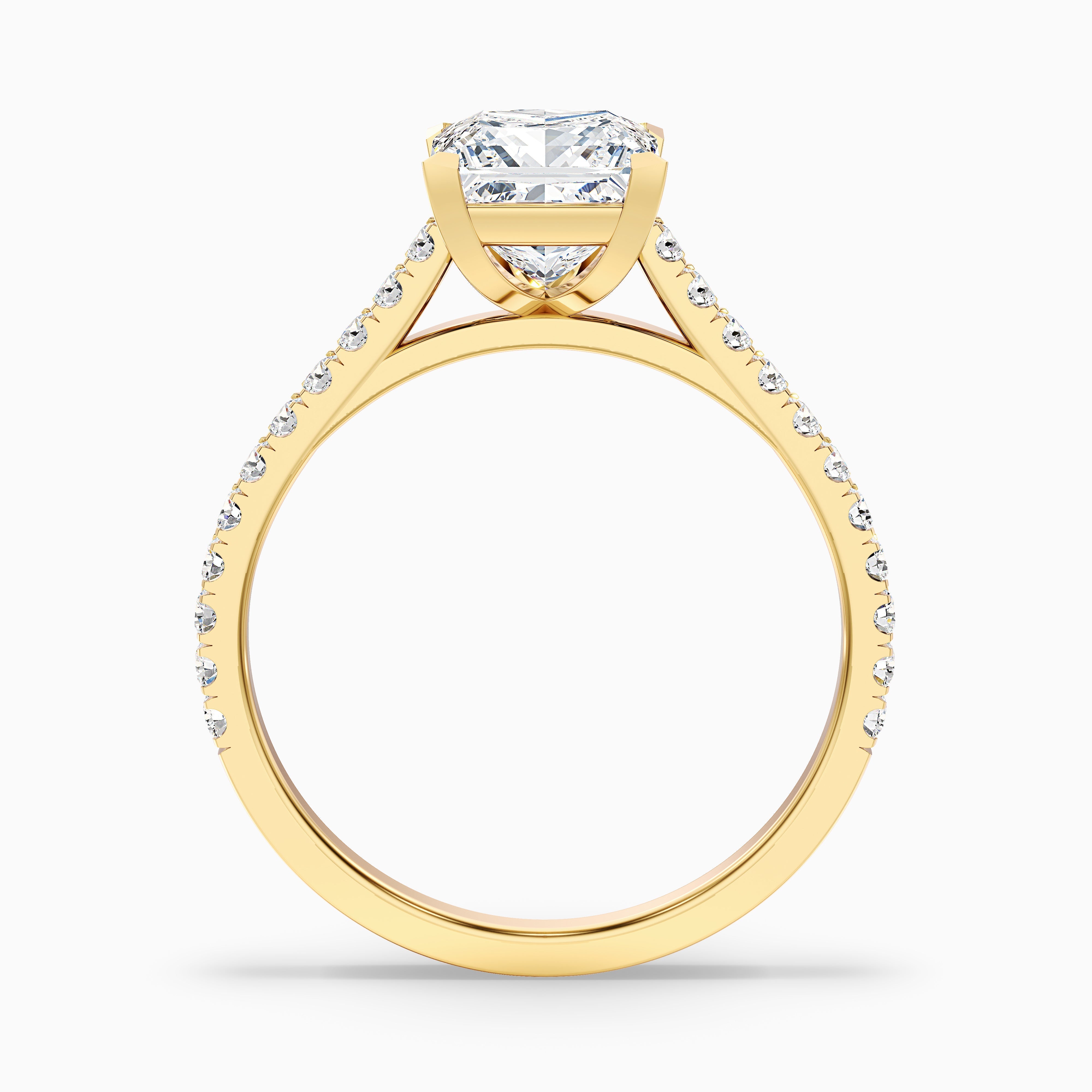 Helyn 2 Carat Princess Cut Side Stone Pave Moissanite Engagement Ring in 10k White Gold