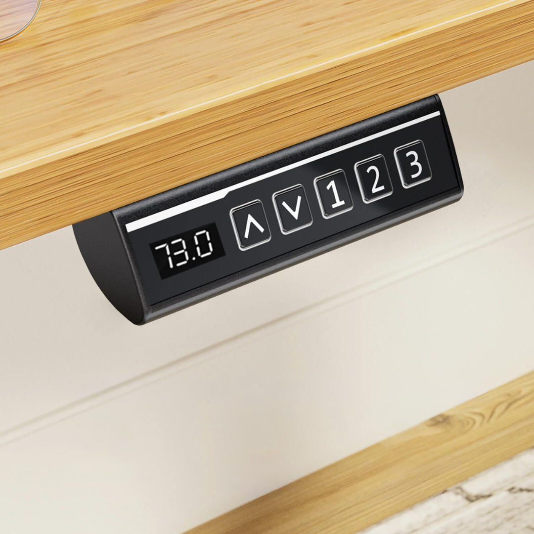 Electric Adjustable Standing Desk
