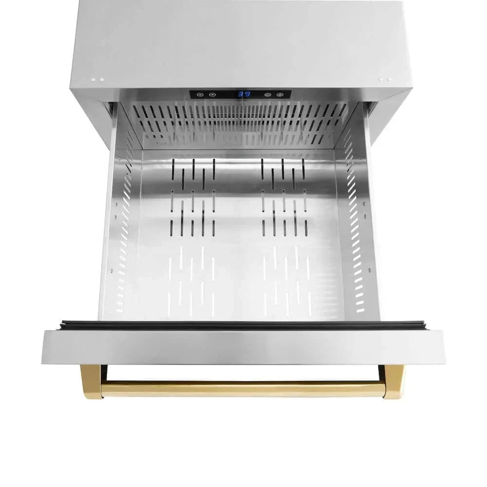 ZLINE 24" Touchstone 168 Can Outdoor-Rated Dual Refrigerator Drawer, Gold, RDSOZ-ST-24-G