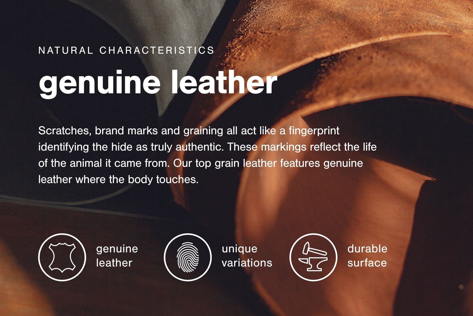 Colleton - Sofa - Dark Brown