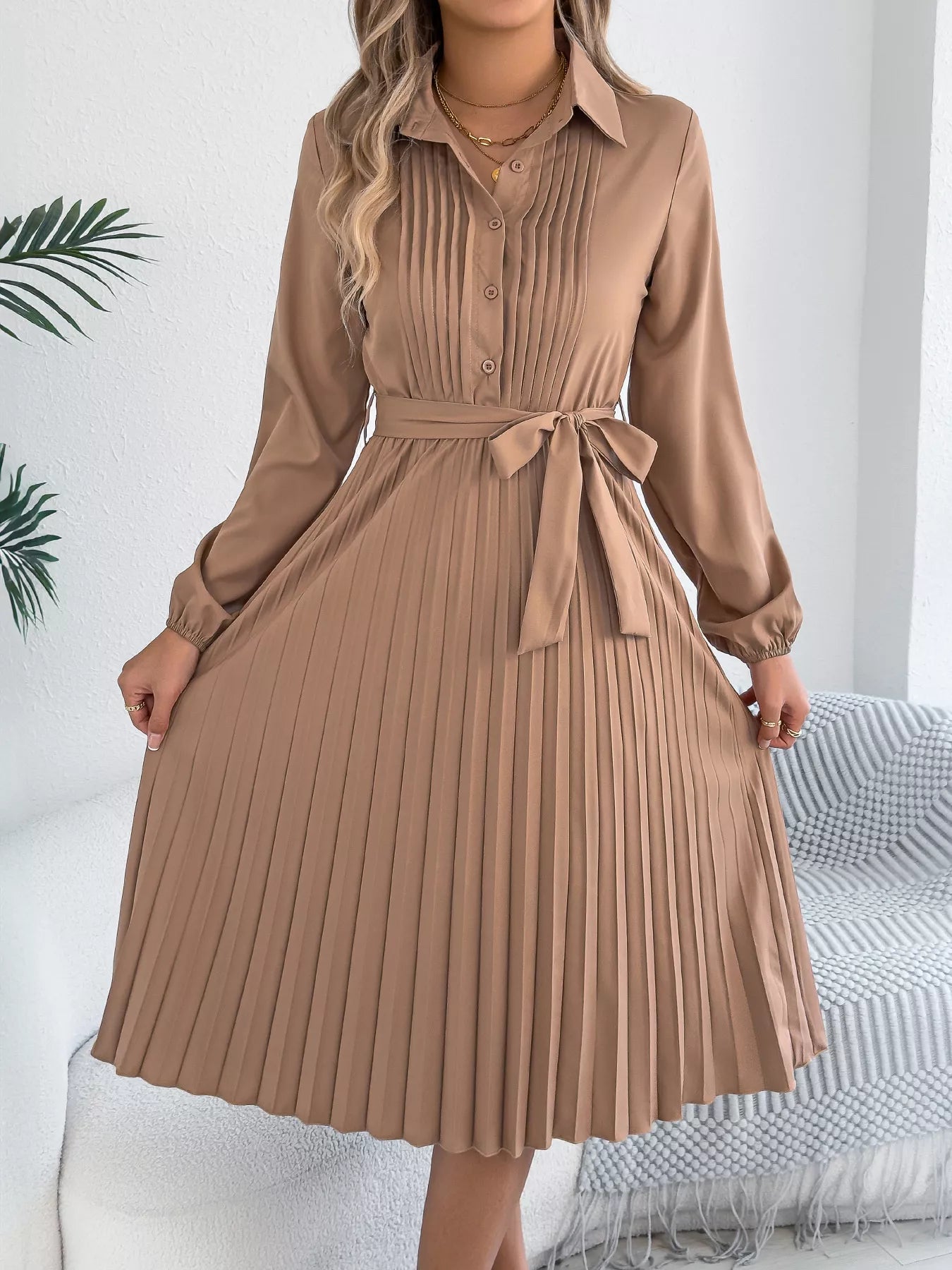 Pleated Tie Waist Balloon Sleeve Dress