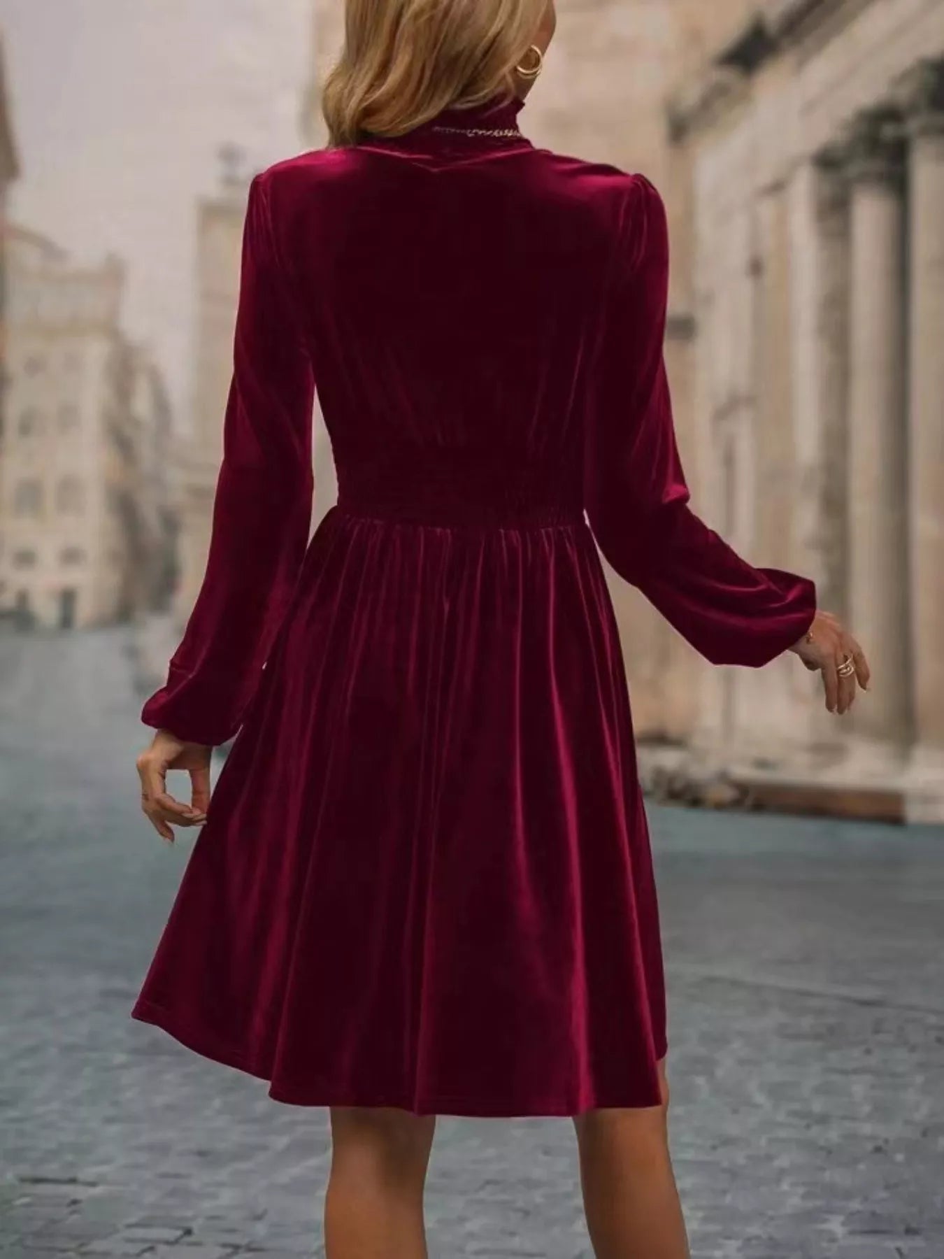 Velvet High Neck Long Sleeve A-Line Dress