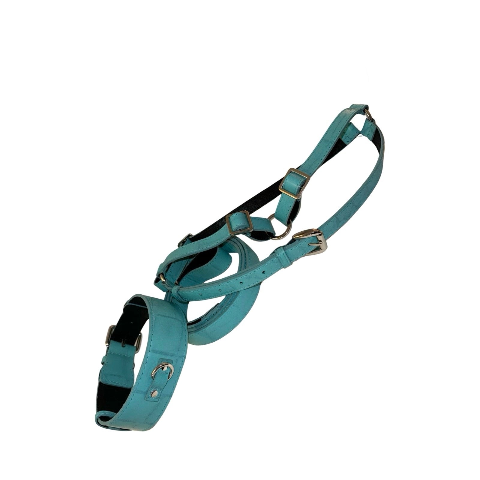 The Tiffany Collection. Gorgeous Turquoise Blue Embossed Croc Italian Leather Collar, Leash & Harness Set, With Our Classic Hardware