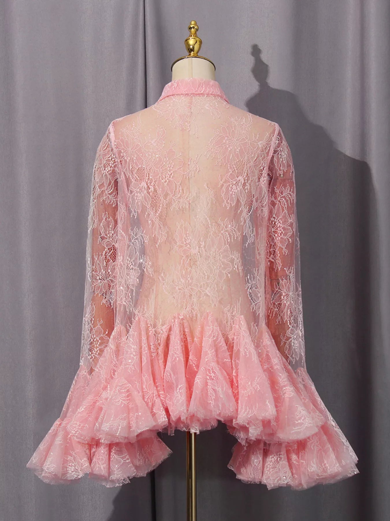 Ruffled Hem Lace Long Sleeve Dress