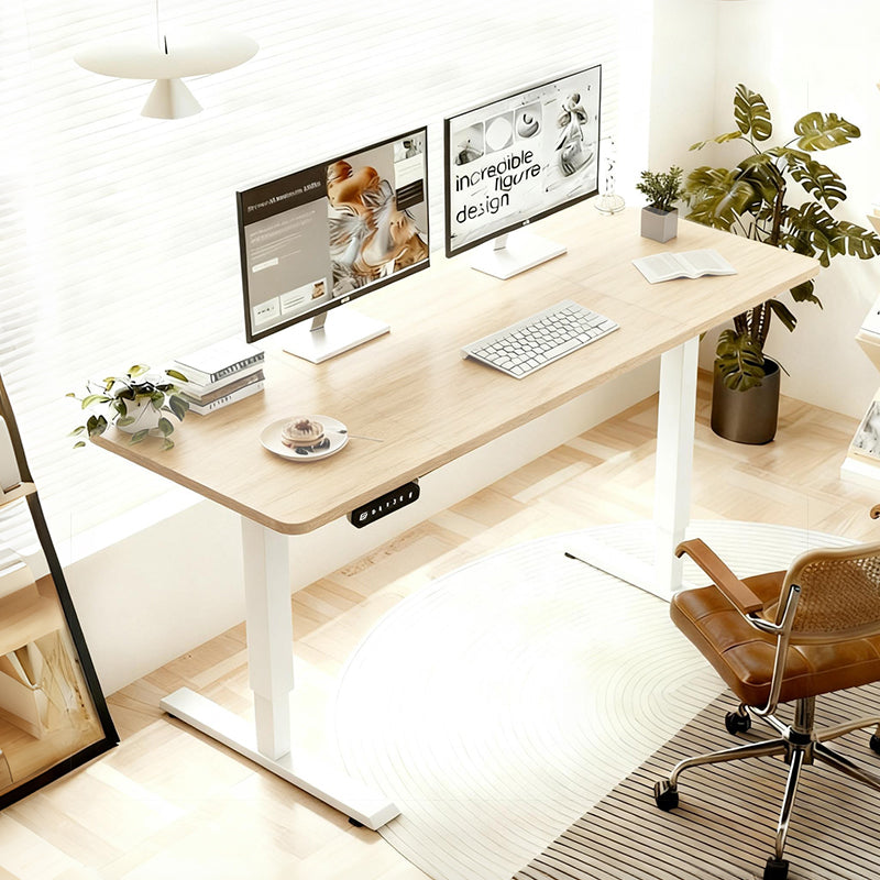 55"×24" Light Adjustable Electric Standing Desk