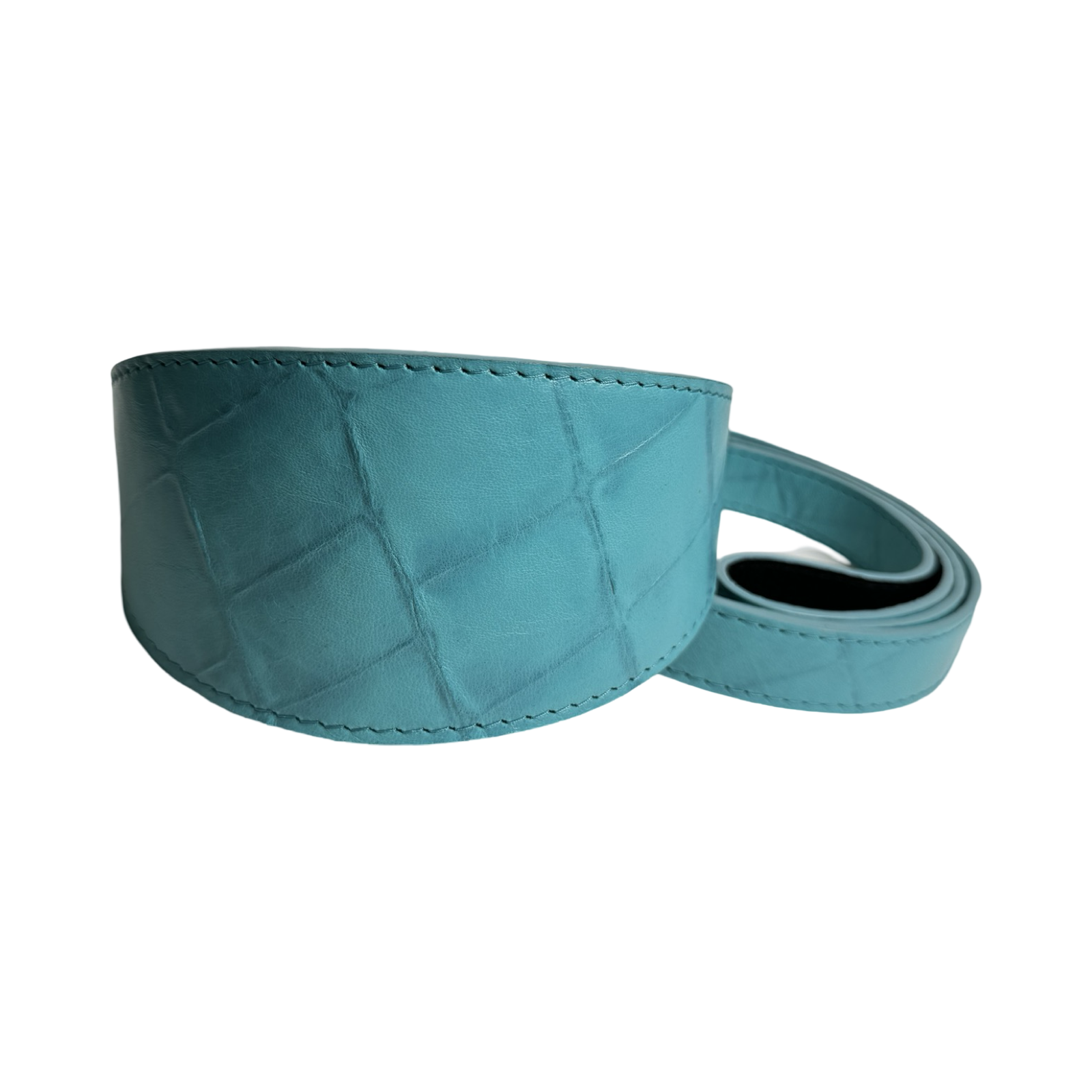 The Tiffany Collection. Gorgeous Turquoise Blue Embossed Croc Italian Leather 3” Wide Style Collar, With Silver Hardware