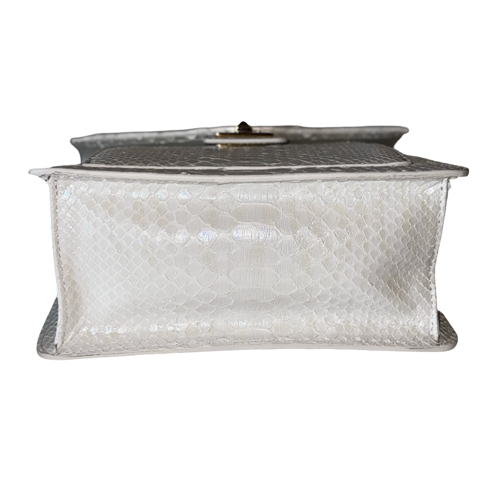 Cosmo Horse Handle Handbag In Iridescent White Python