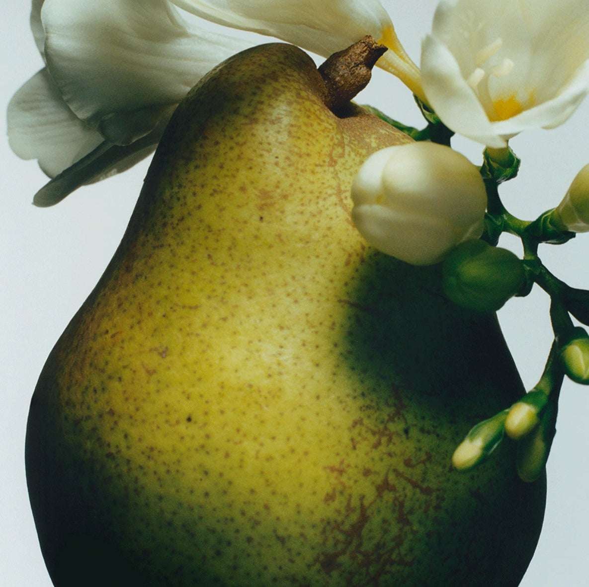 Jo Malone London English Pear & Freesia Cologne