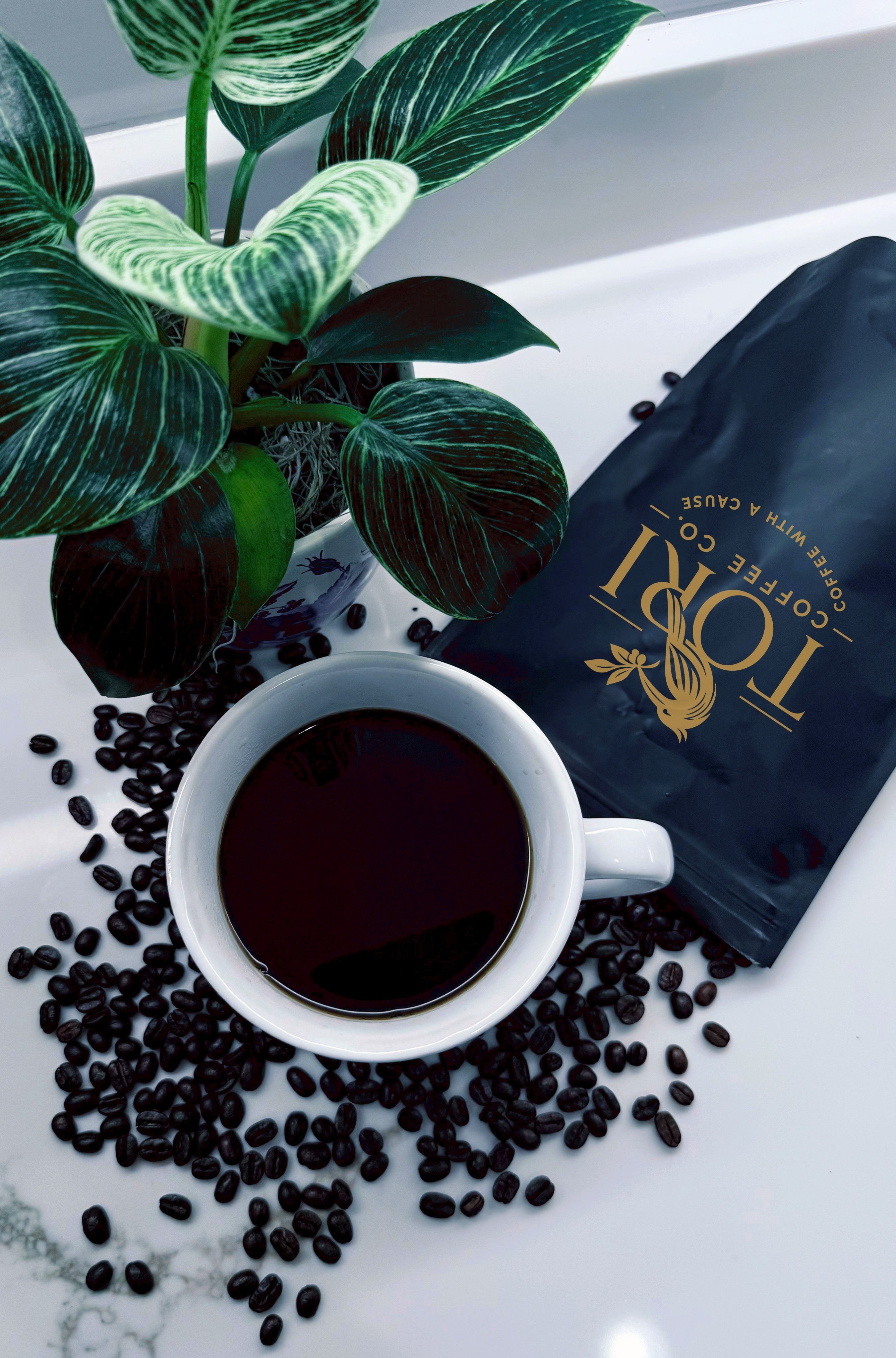 Breakfast Blend | Light Roast | 12oz