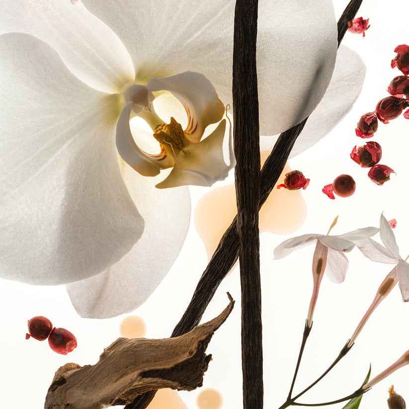 Phlur VANILLA SKIN Eau de Parfum