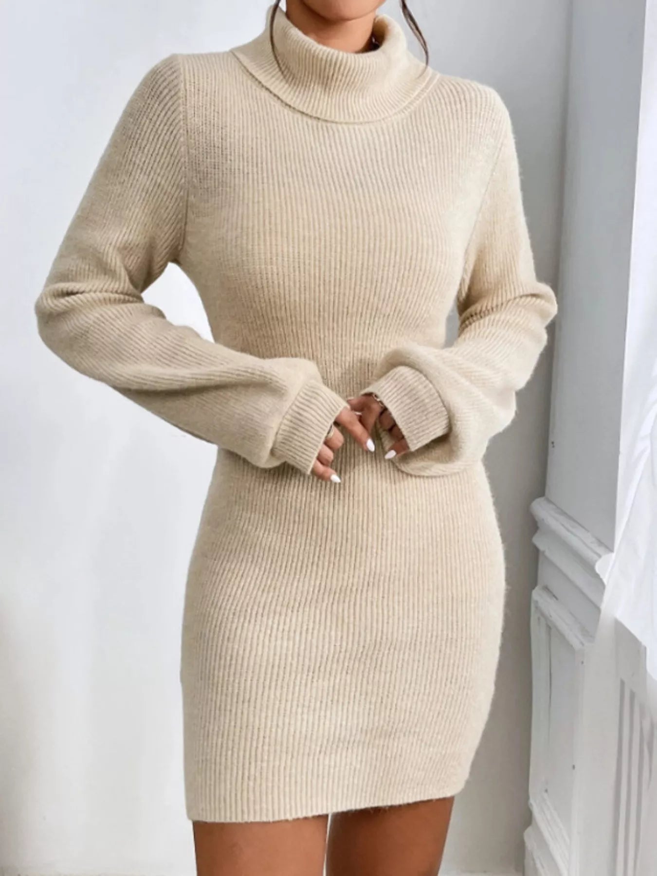 Ribbed Turtleneck Sweater Dress