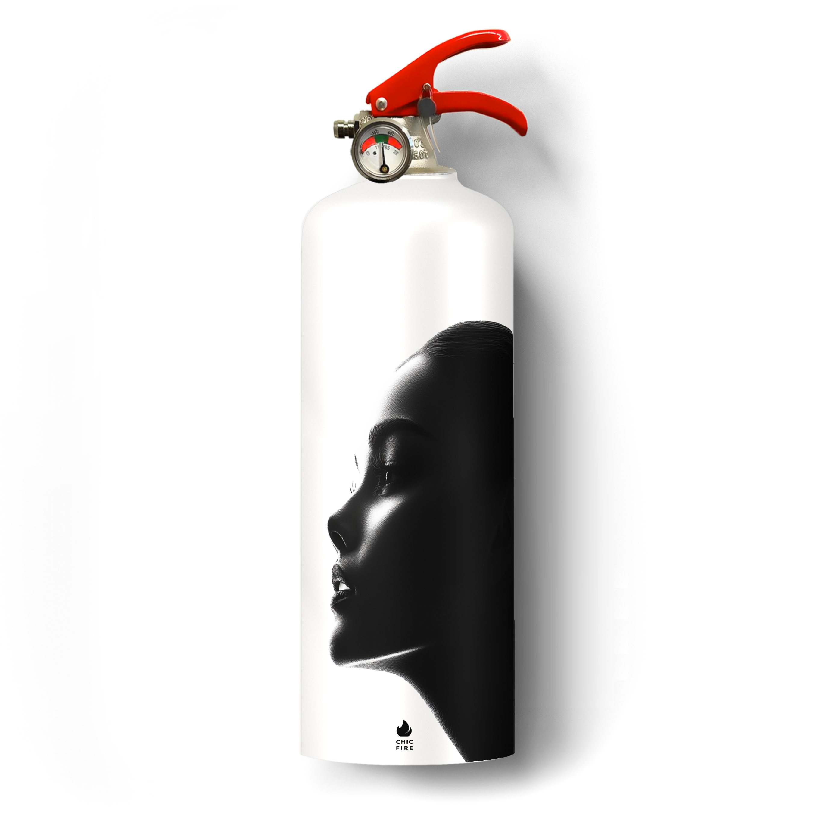 Le Visage