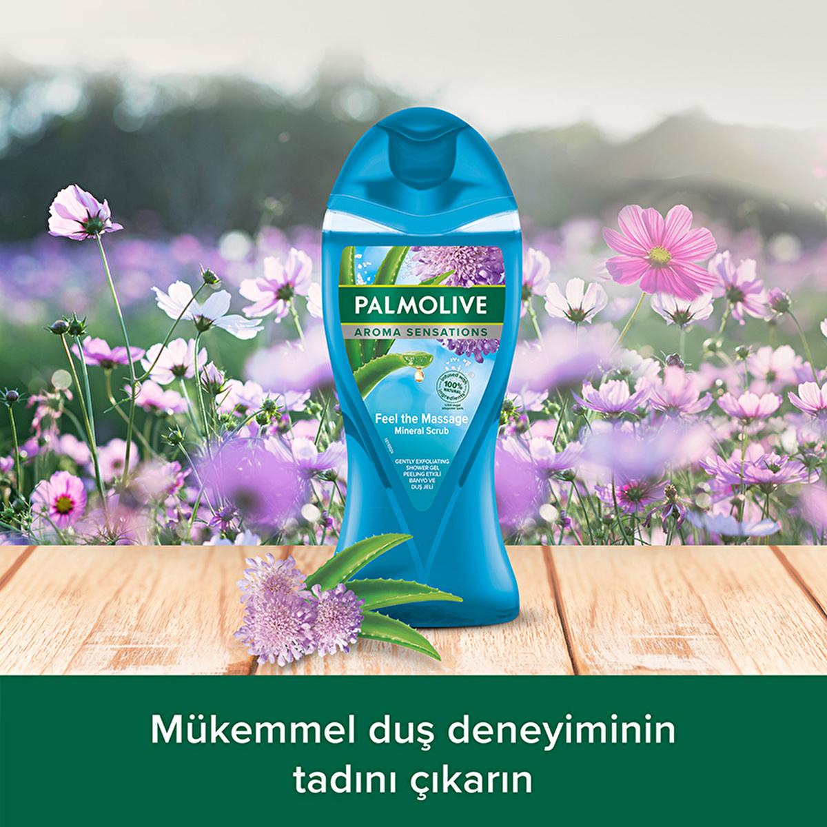Palmolive Aroma Sensations Natural Shower Gel with Dead Sea Salt & Aloe Vera - 8.45 fl oz, Nourishing & Organic Body Wash