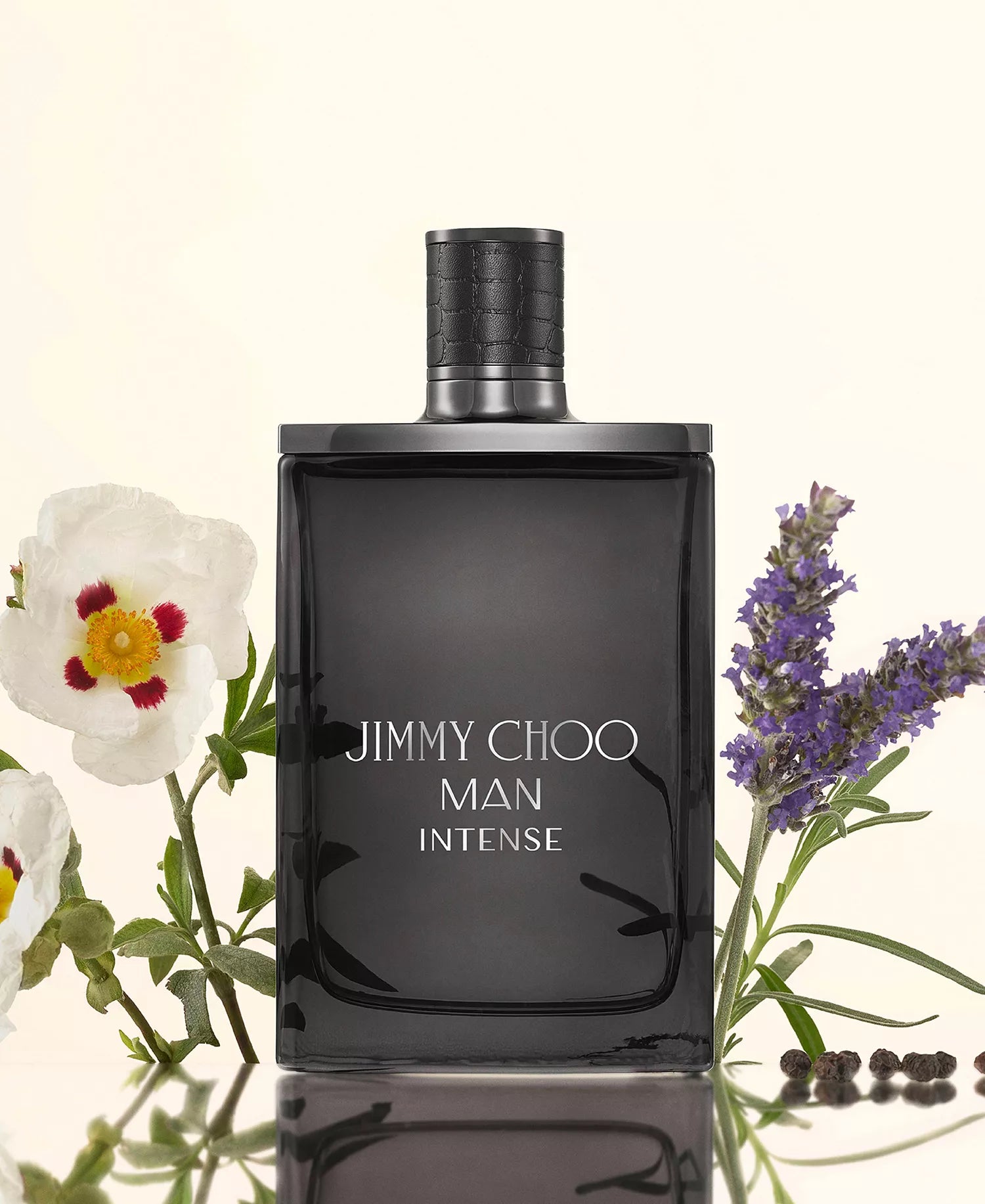 Jimmy Choo Man Intense Eau de Toilette Spray 3.3 oz