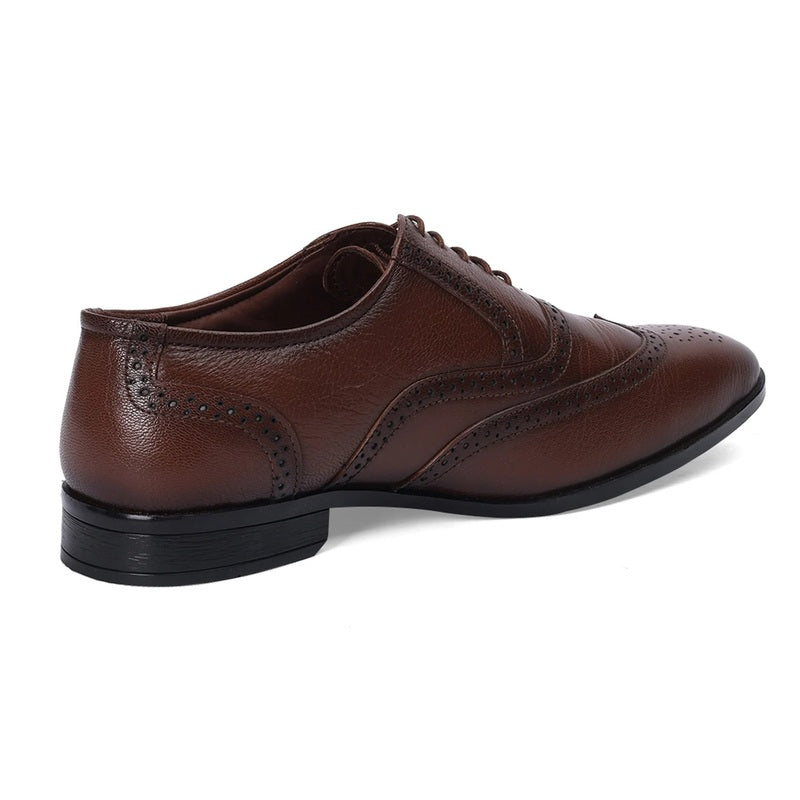 Windsor - Brown Oxfords