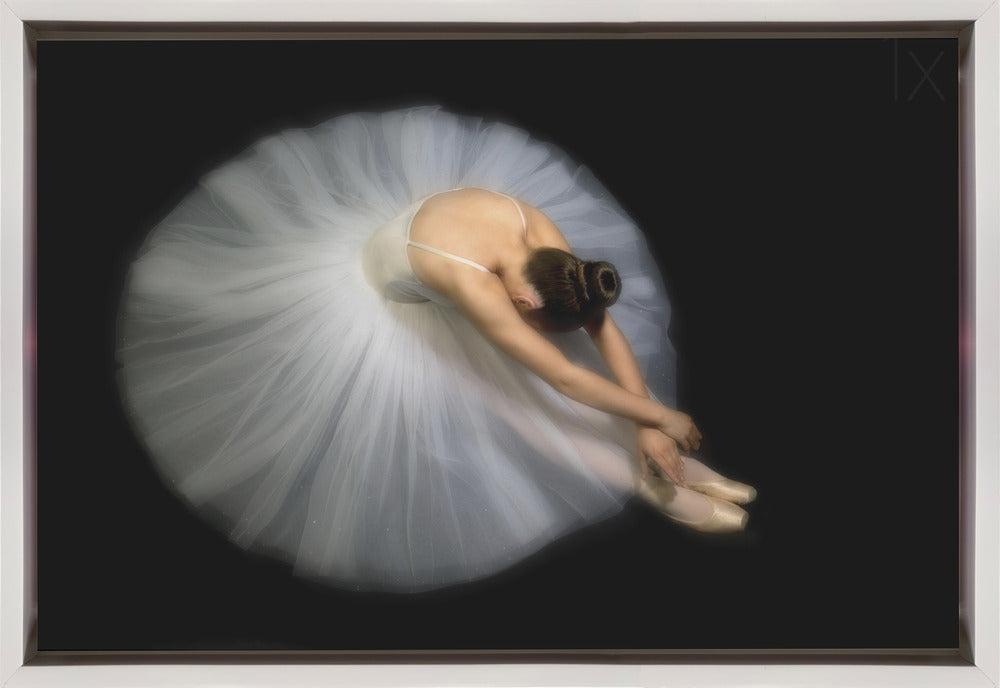 Wall art Elegance Dance