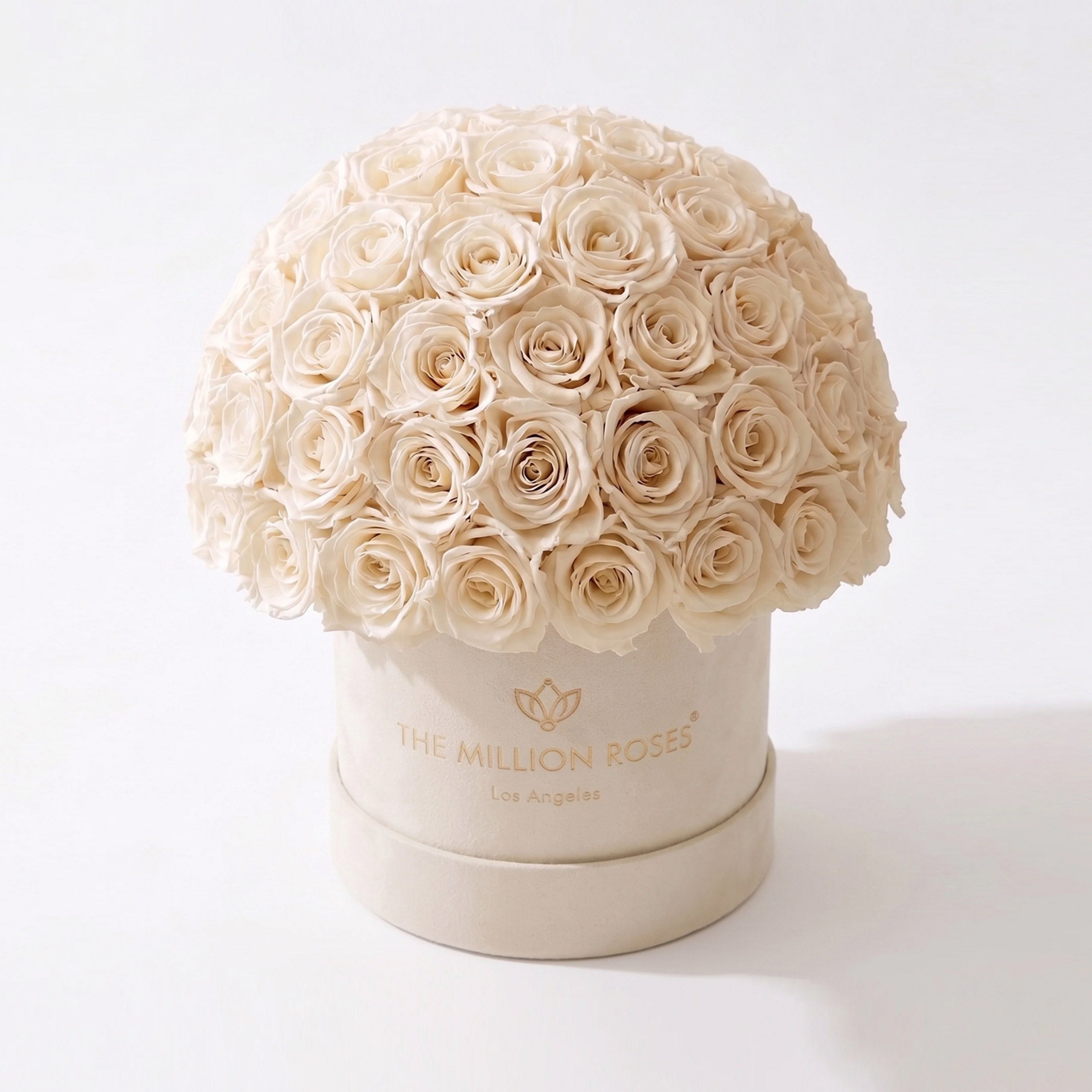 Classic Beige Suede Superdome Box | White Roses