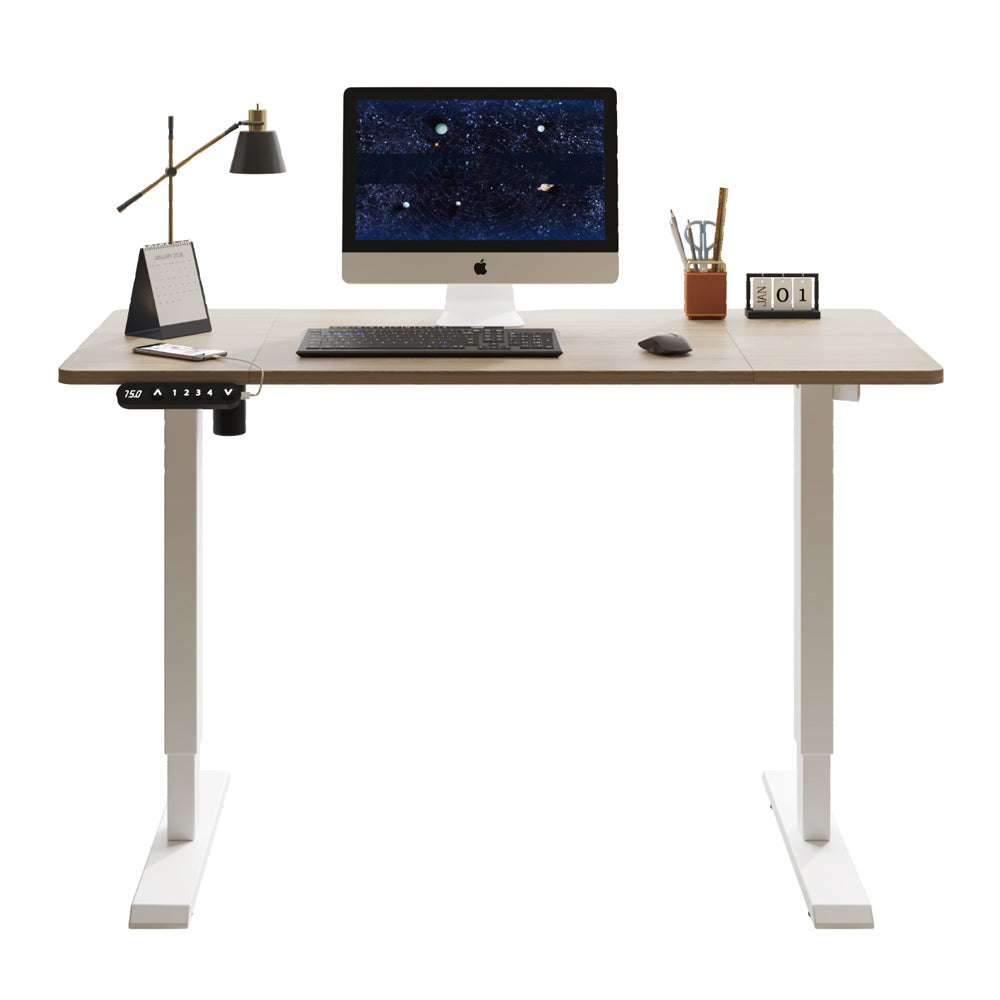 55"×24" Light Adjustable Electric Standing Desk
