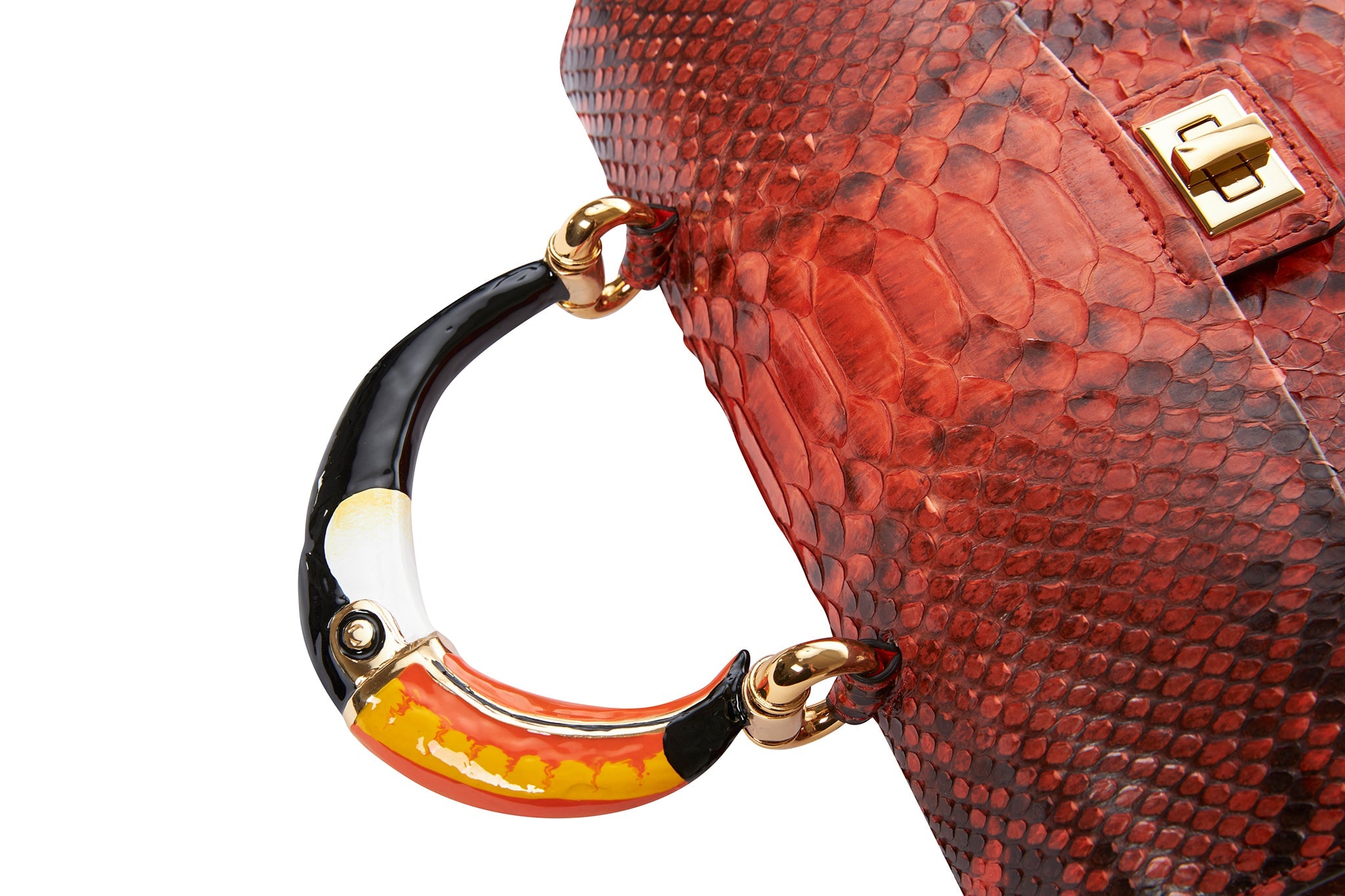 The Toucan