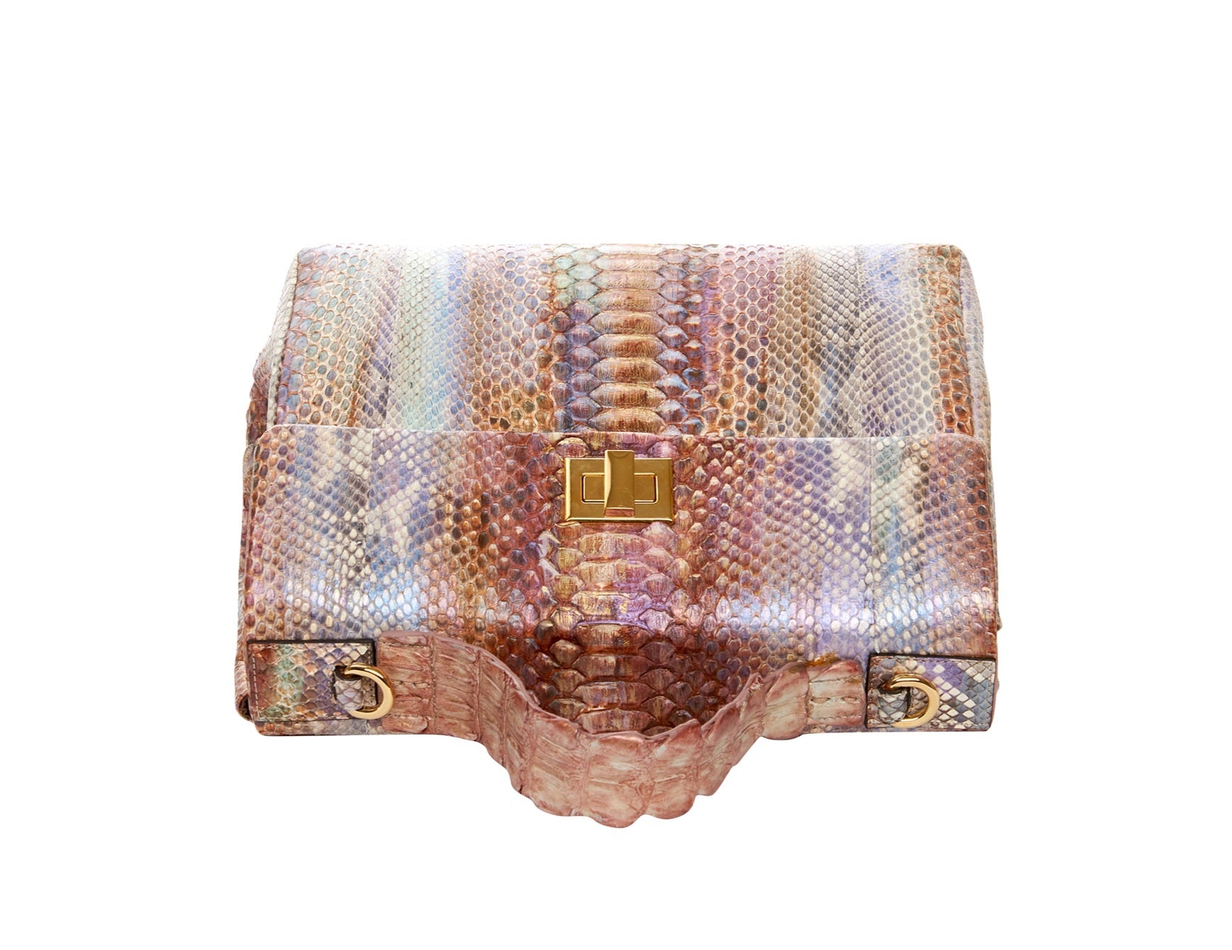 Iridescent Python Elegant & Unique Business/Travel Bag